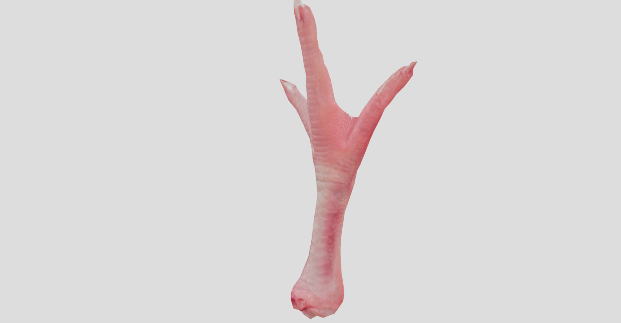 Raw Chicken feet 3dscan model Low-poly 3D model_14