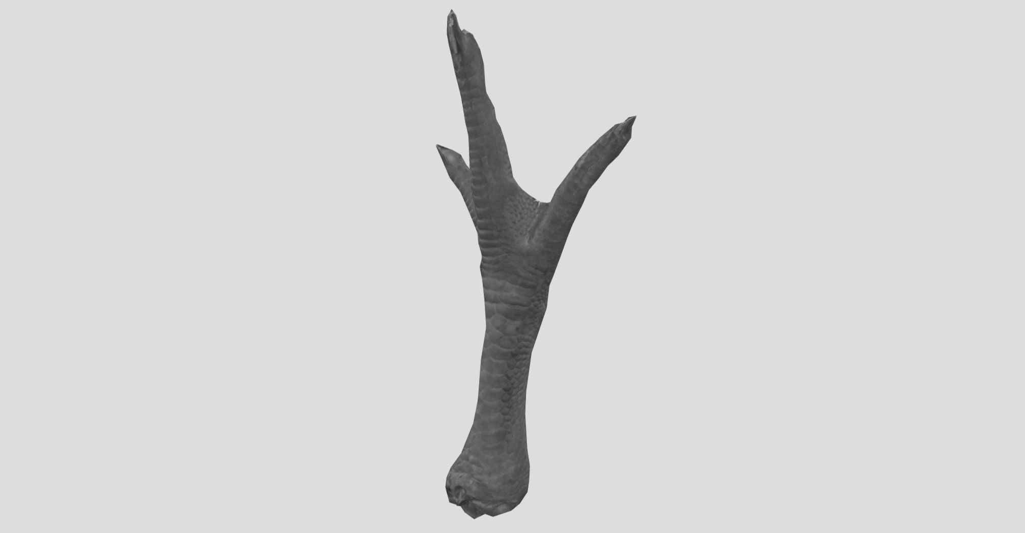 Raw Chicken feet 3dscan model Low-poly 3D model_33