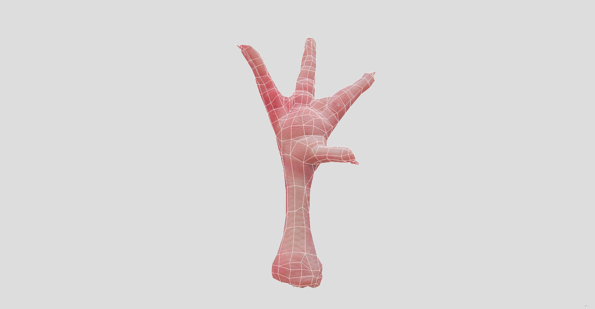 Raw Chicken feet 3dscan model Low-poly 3D model_47