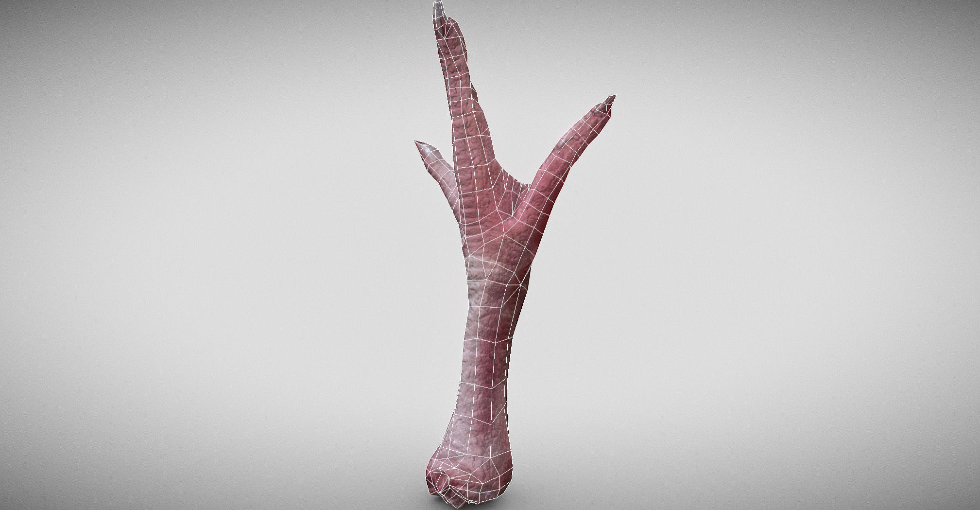 Raw Chicken feet 3dscan model Low-poly 3D model_43