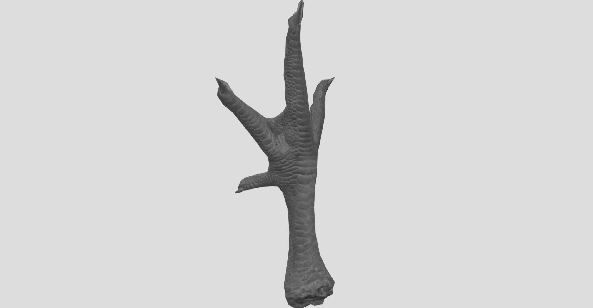 Raw Chicken feet 3dscan model Low-poly 3D model_32