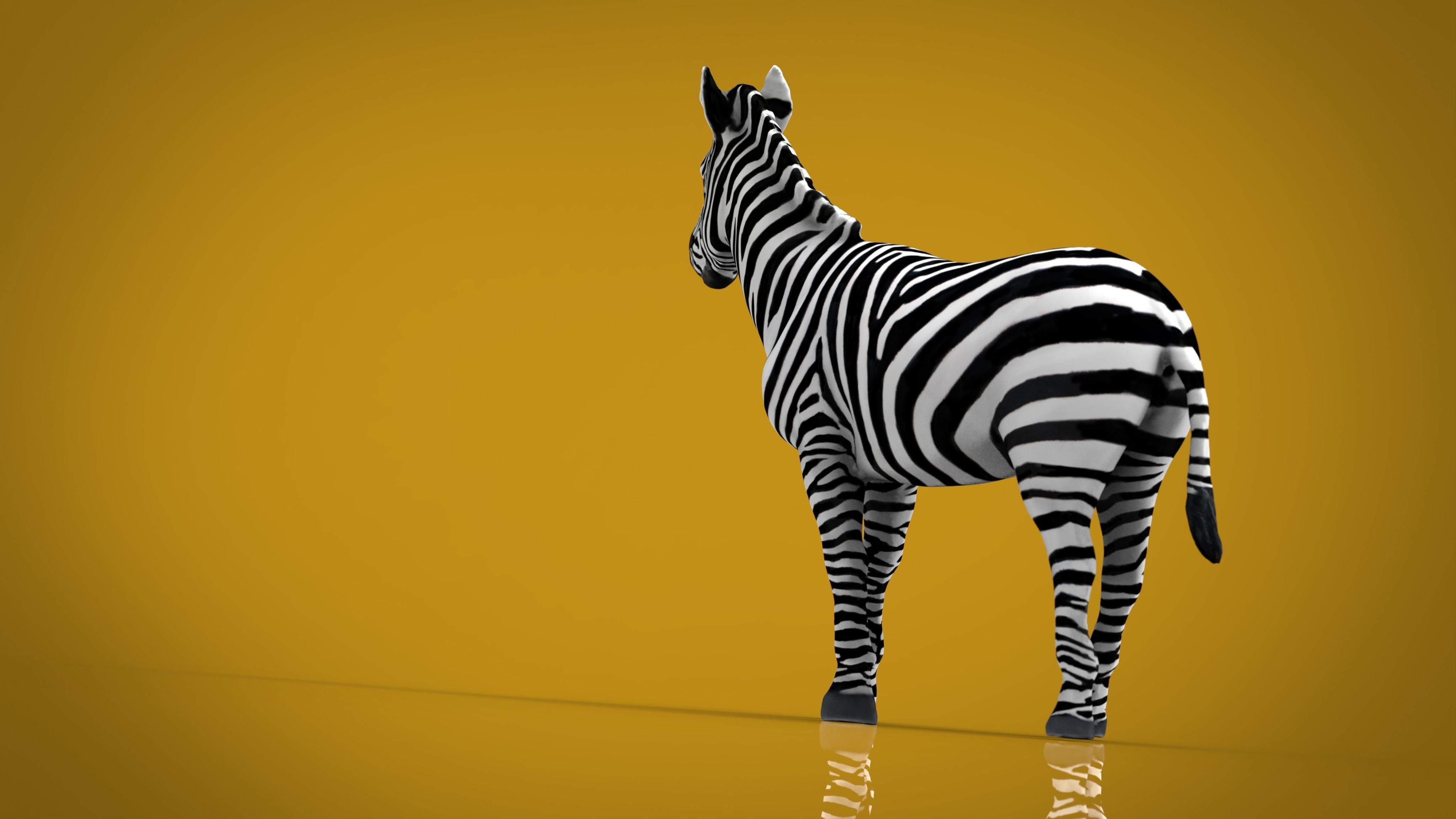 ZEBRA Low-poly 3D model_2