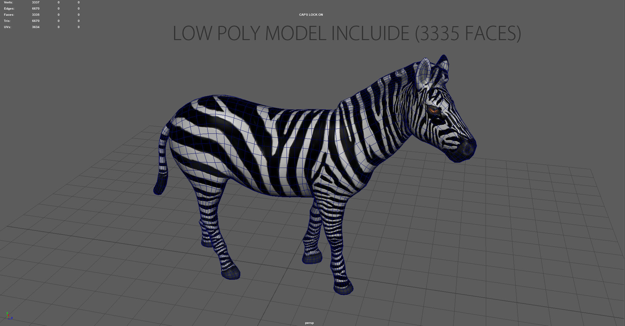 ZEBRA Low-poly 3D model_11
