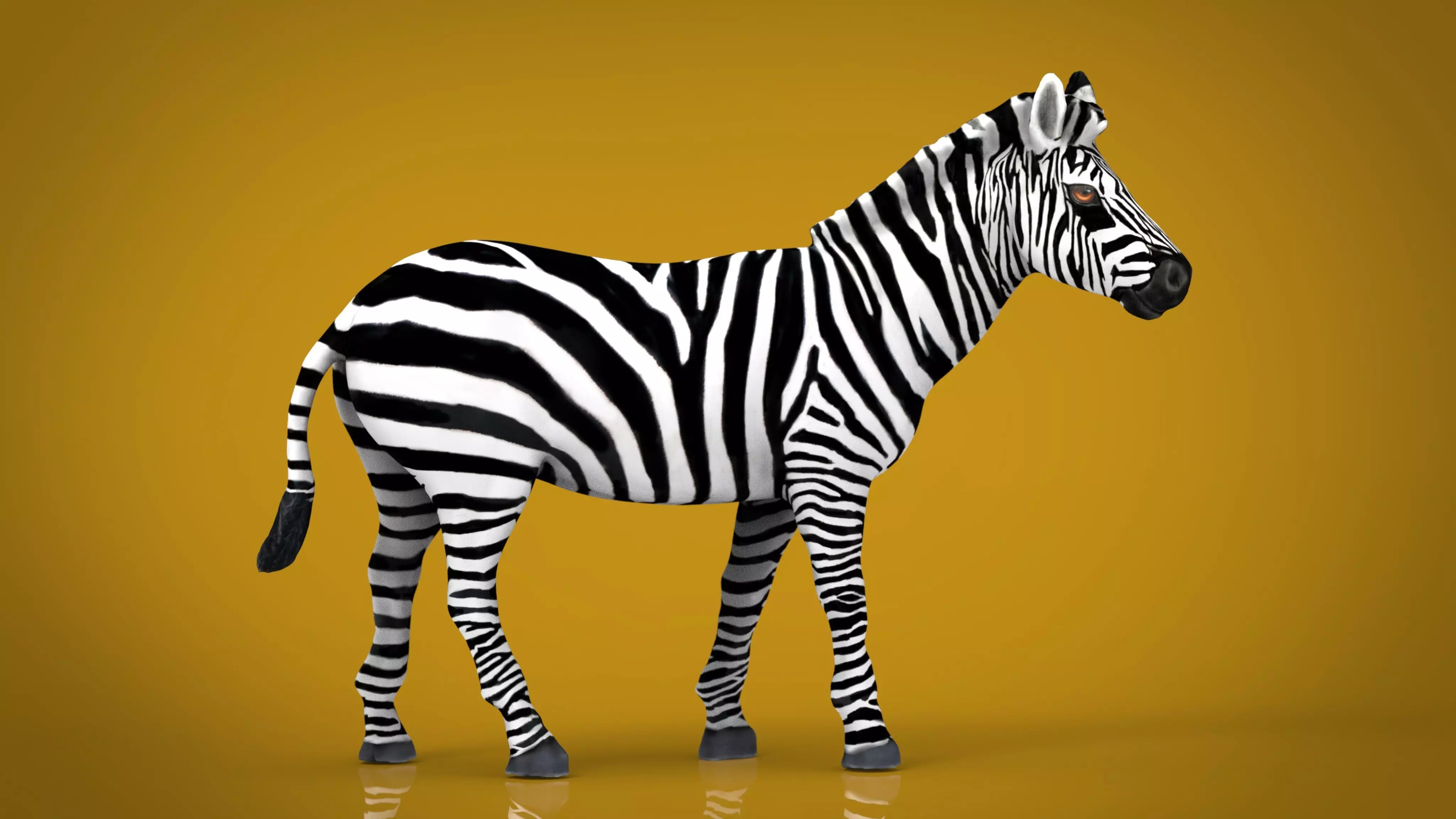ZEBRA Low-poly 3D model_0