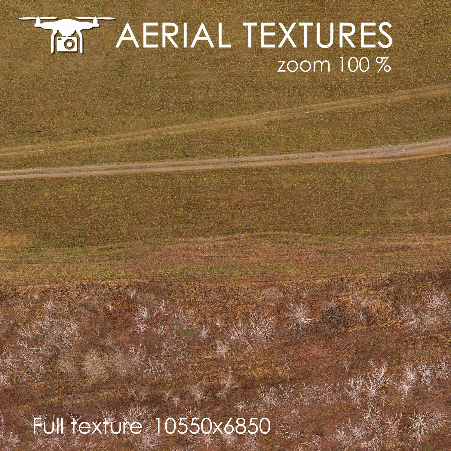 Aerial texture 264 Texture_2