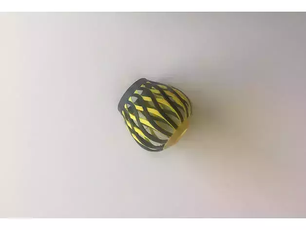 Dual Extrusion Vase 4 3D print model