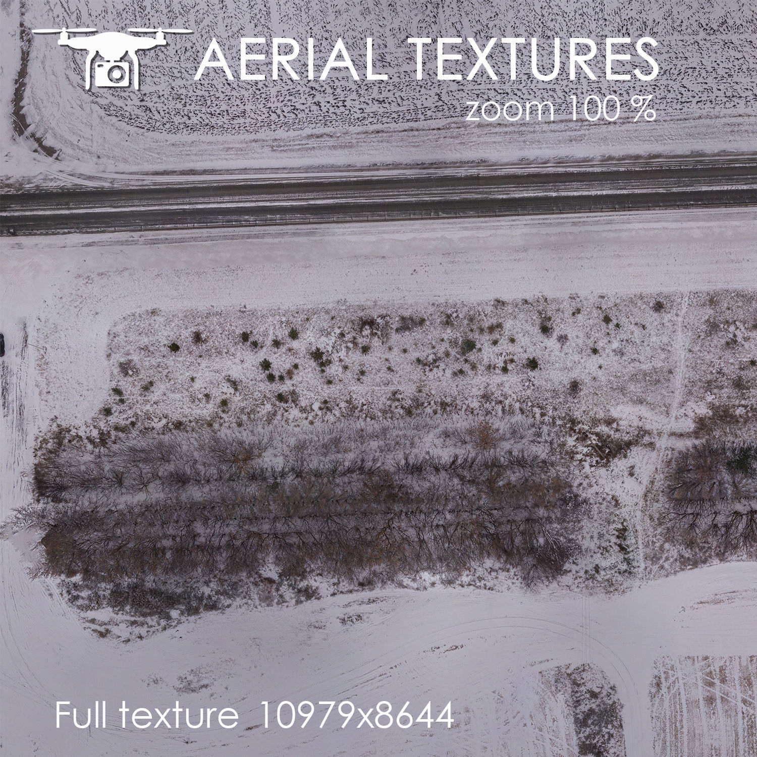 A winter field 269 Texture_1