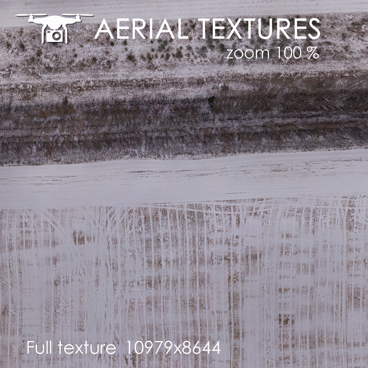 A winter field 269 Texture_2