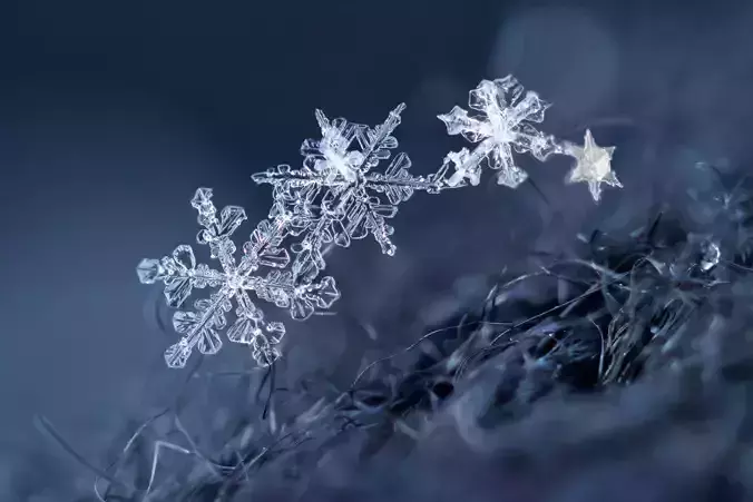 snezhinki snowflakes