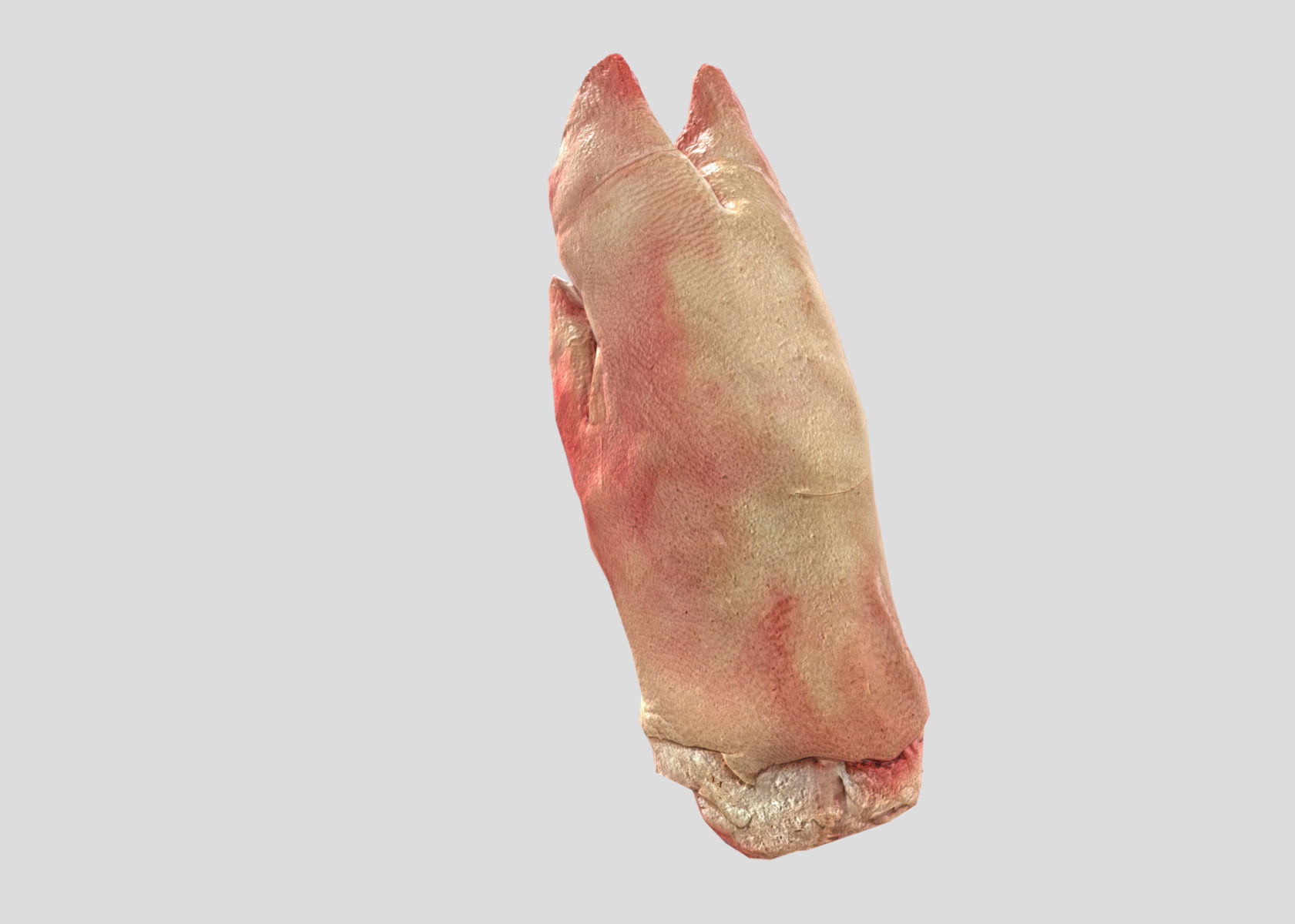 Raw Pigs leg 3D scan Low-poly 3D model_40