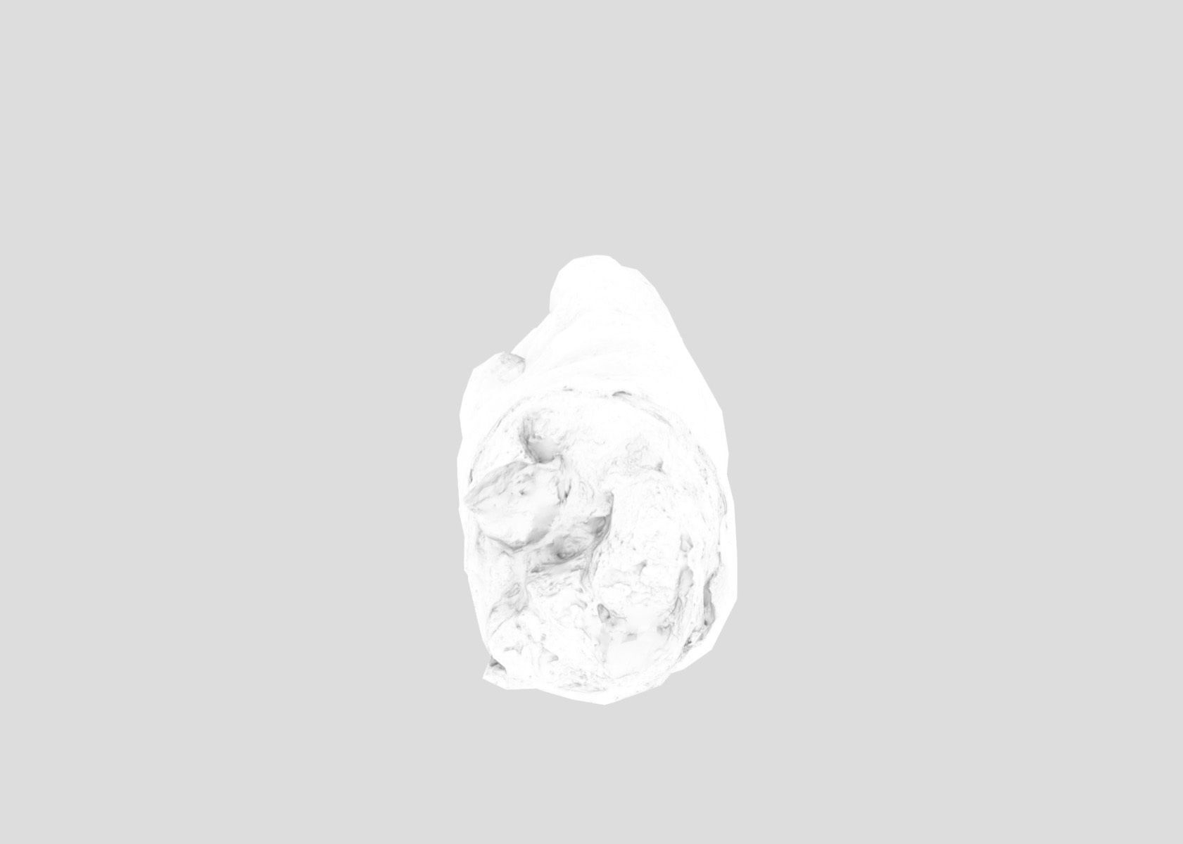 Raw Pigs leg 3D scan Low-poly 3D model_48
