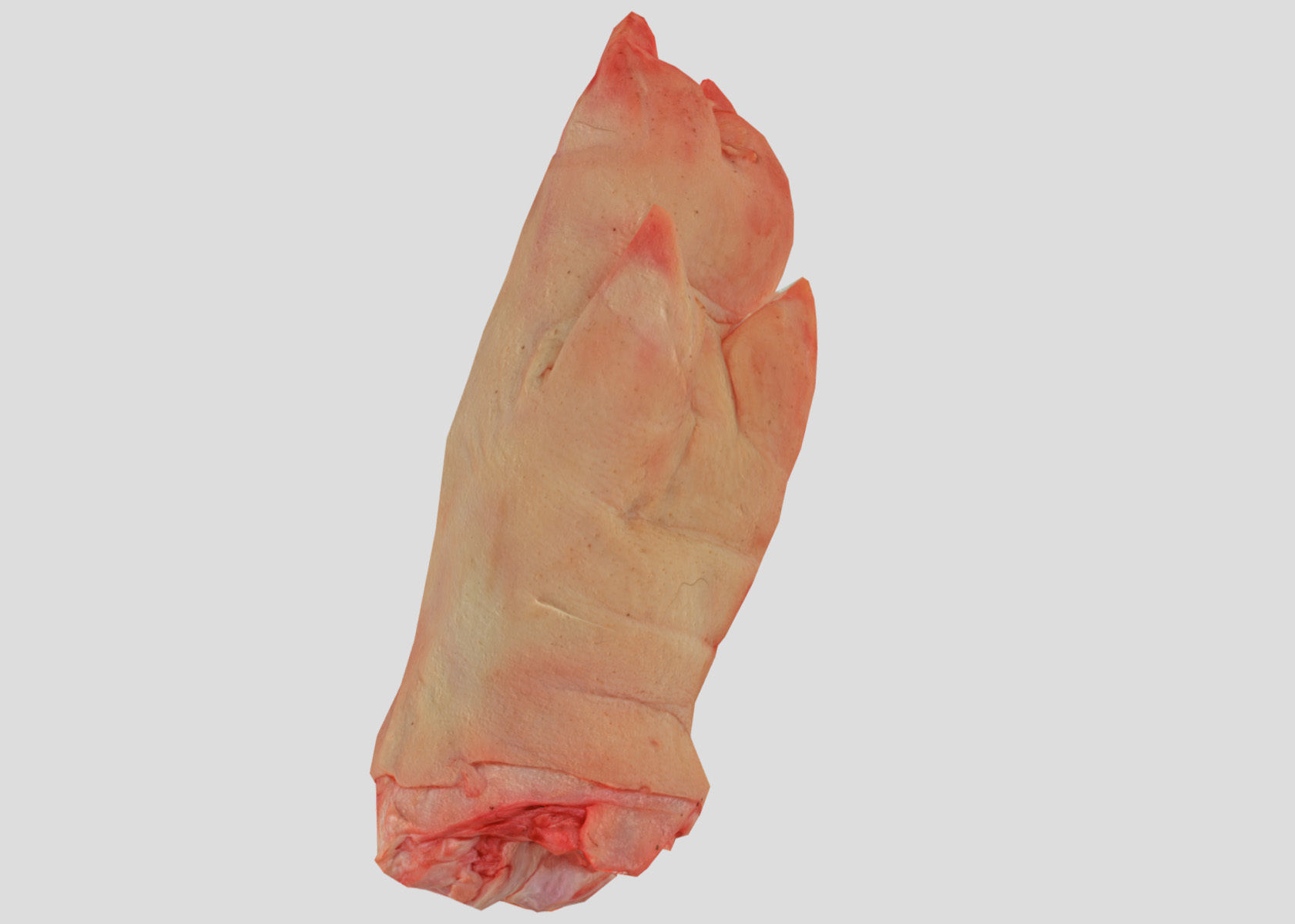 Raw Pigs leg 3D scan Low-poly 3D model_36