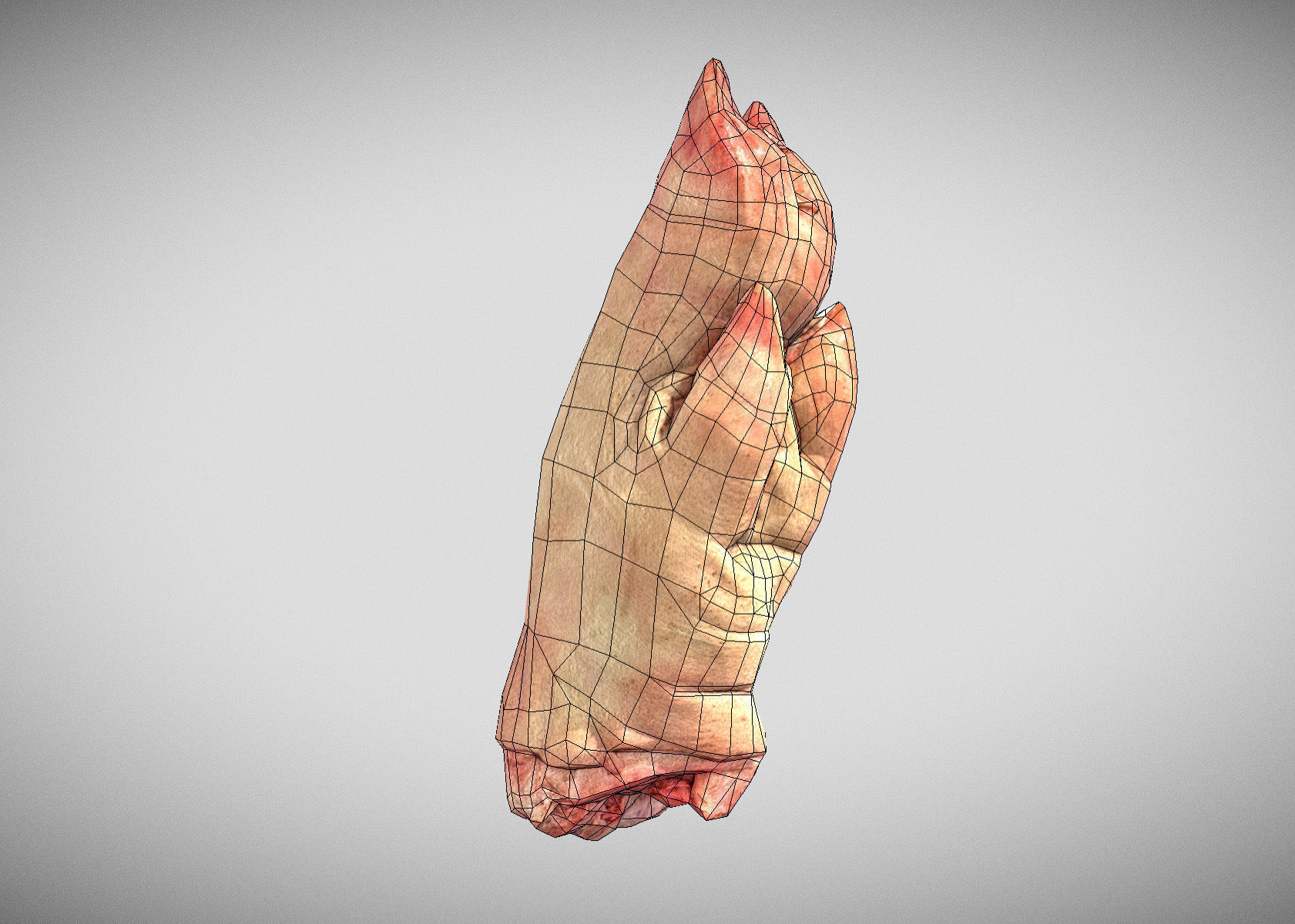 Raw Pigs leg 3D scan Low-poly 3D model_23