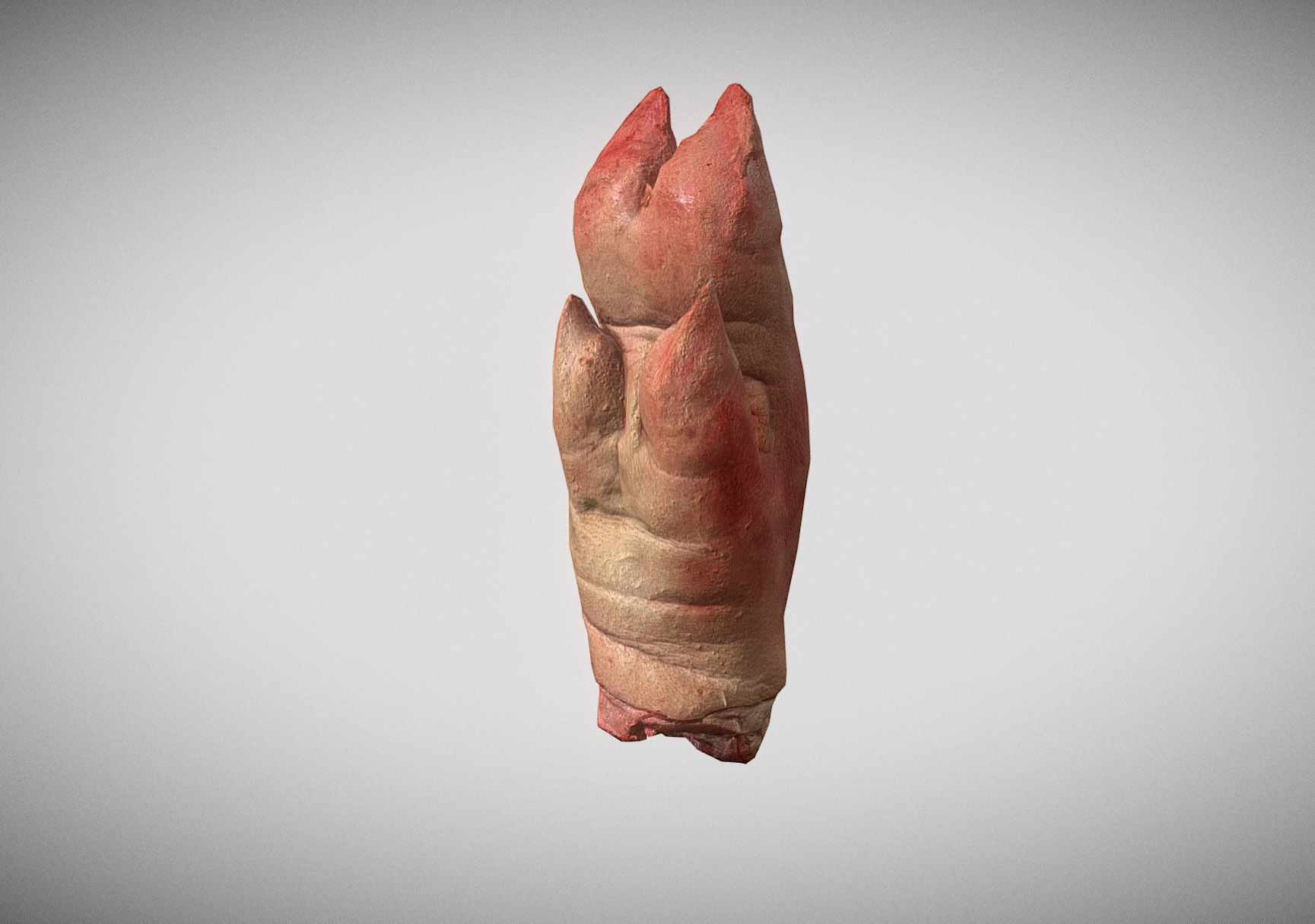 Raw Pigs leg 3D scan Low-poly 3D model_27