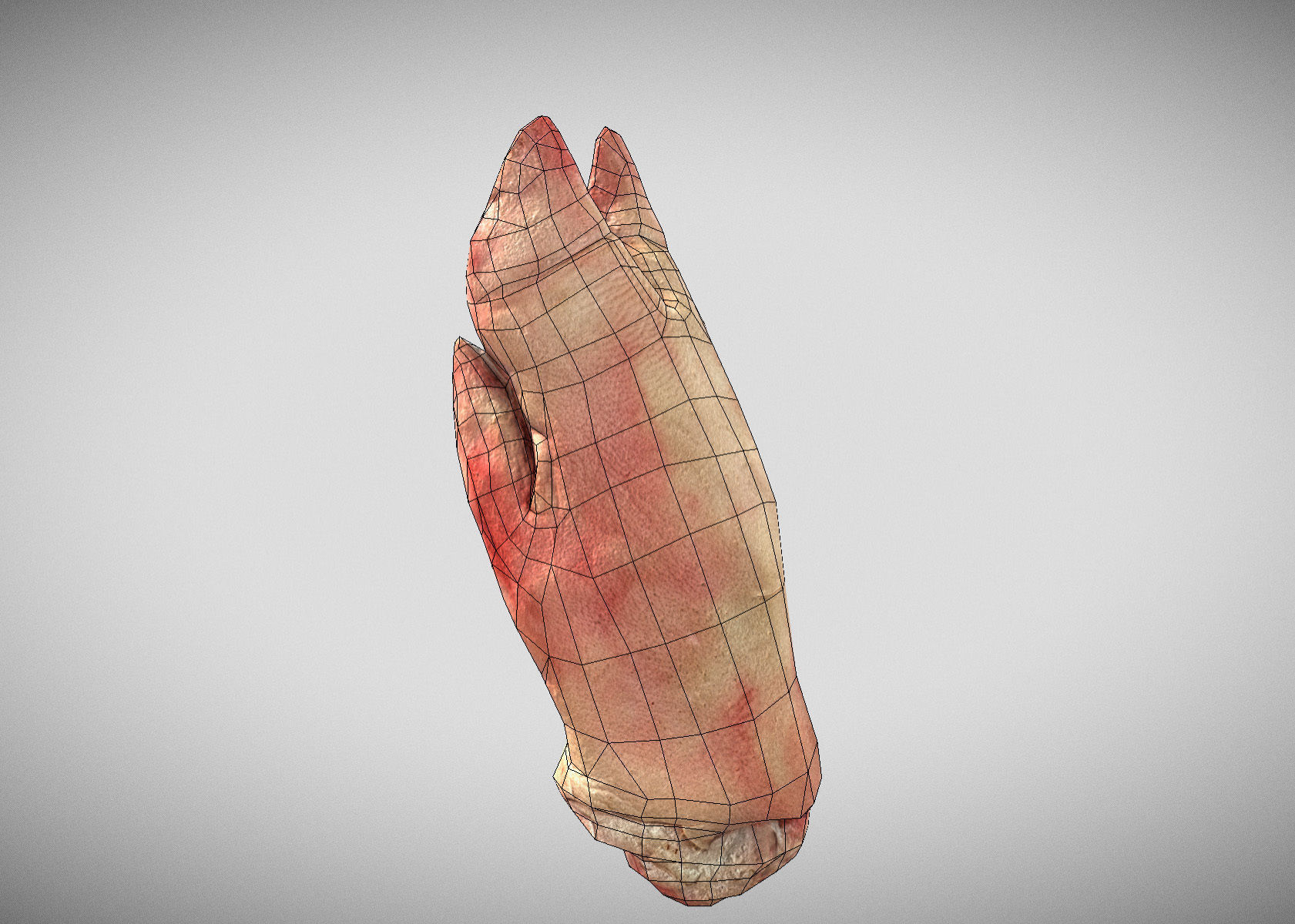 Raw Pigs leg 3D scan Low-poly 3D model_28