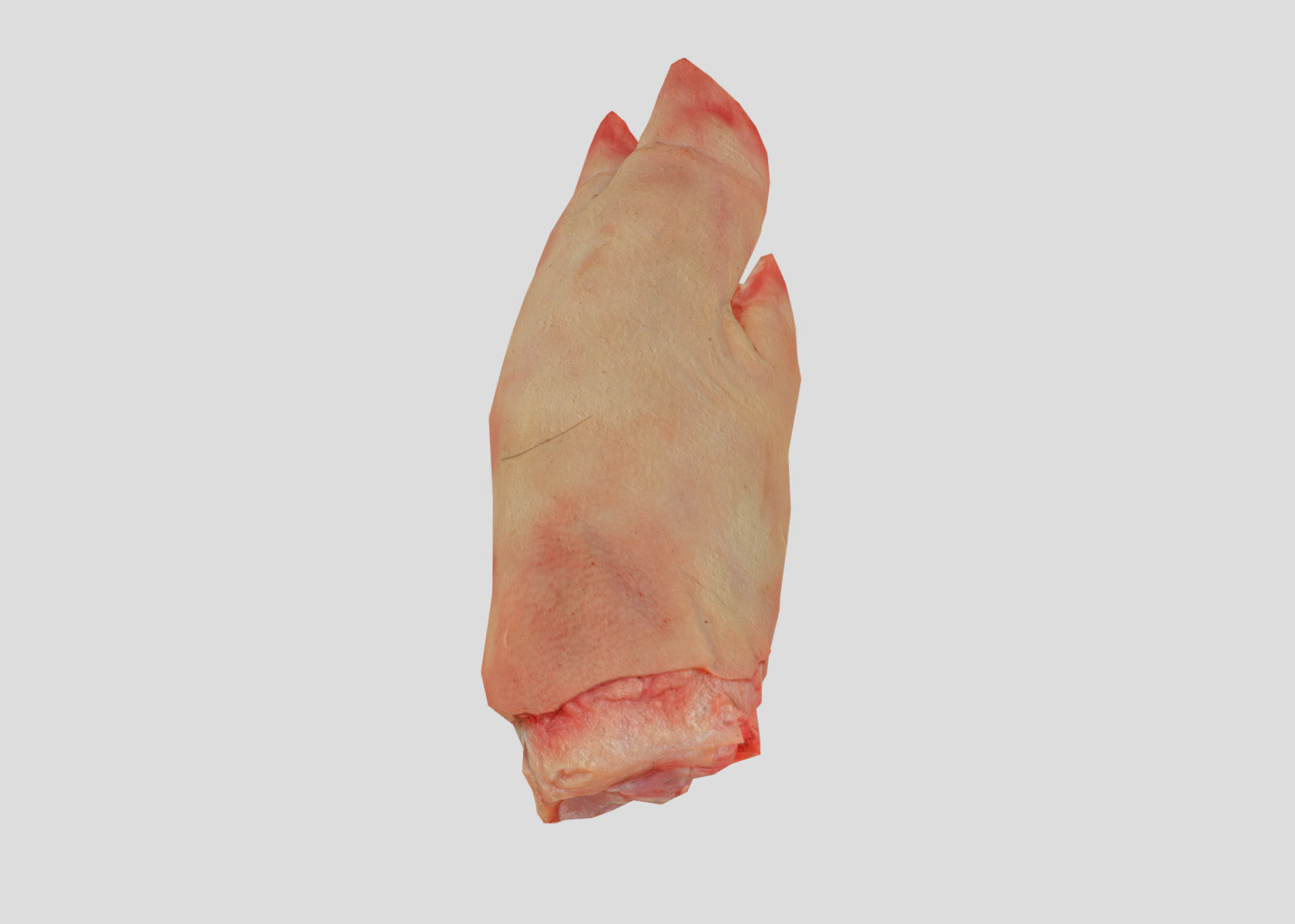 Raw Pigs leg 3D scan Low-poly 3D model_35