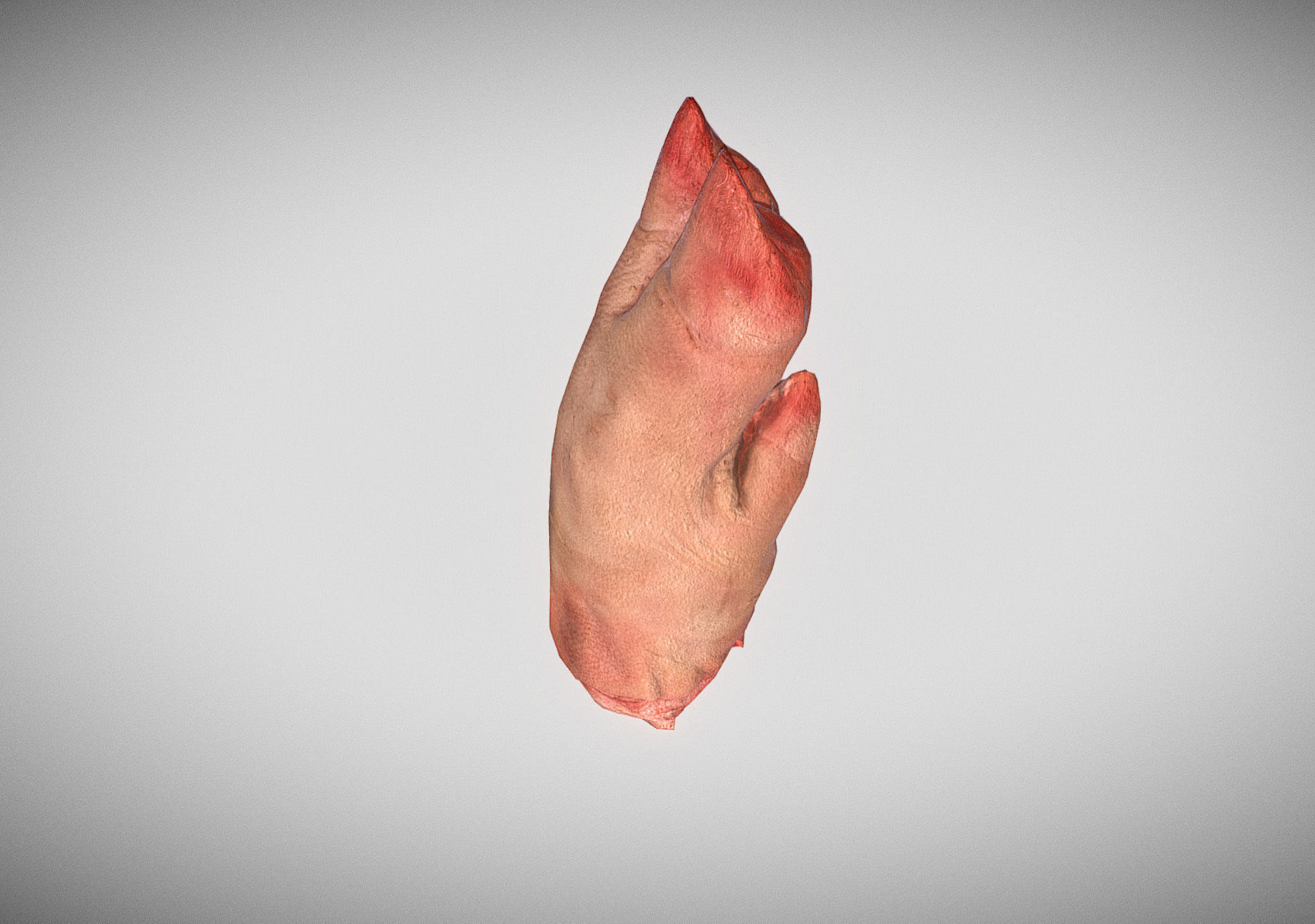 Raw Pigs leg 3D scan Low-poly 3D model_18