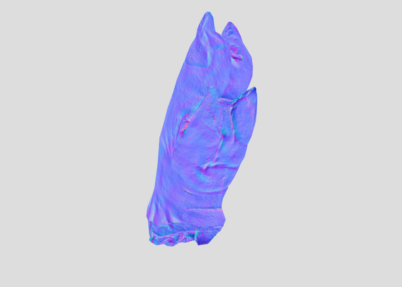 Raw Pigs leg 3D scan Low-poly 3D model_50