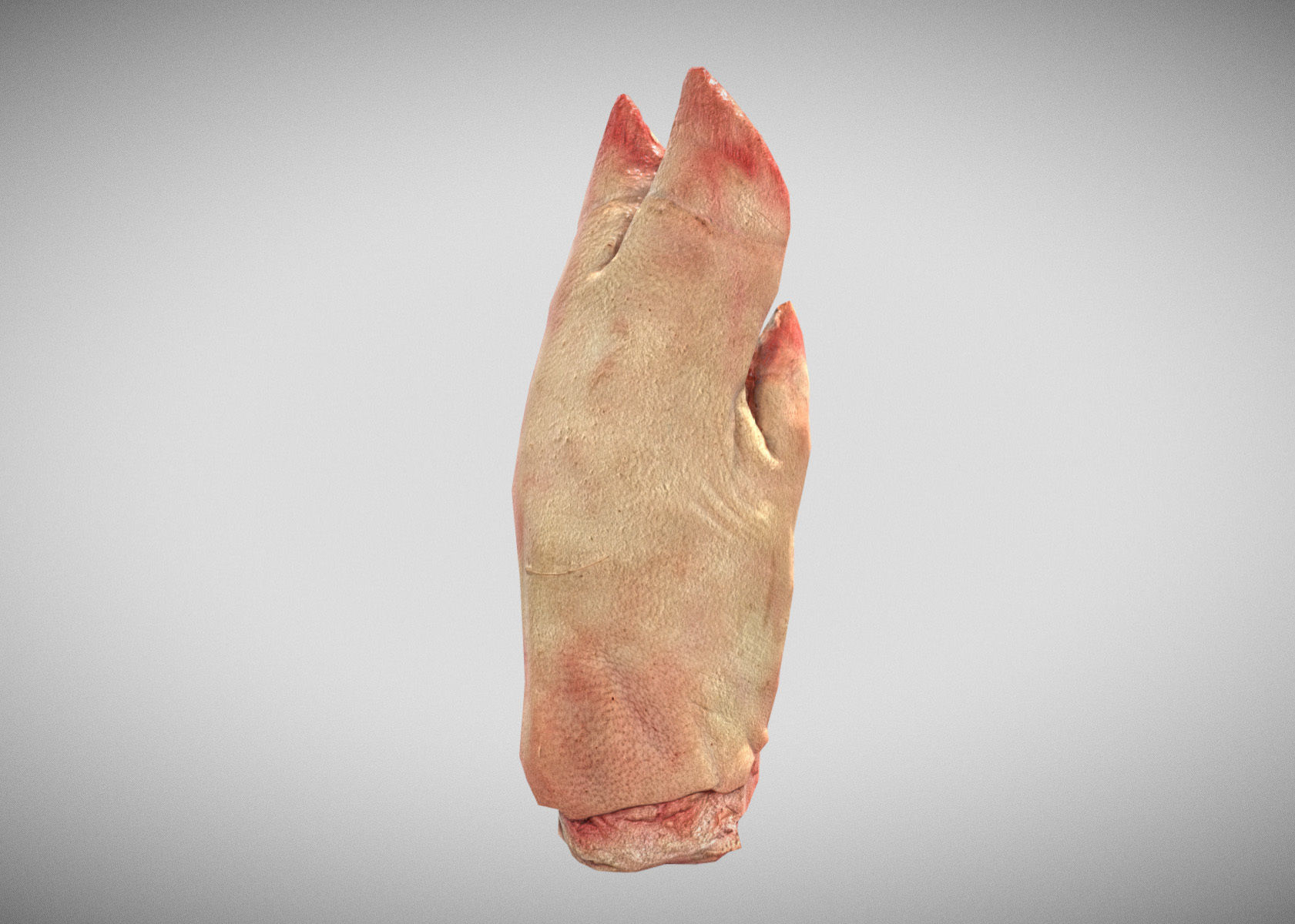 Raw Pigs leg 3D scan Low-poly 3D model_66