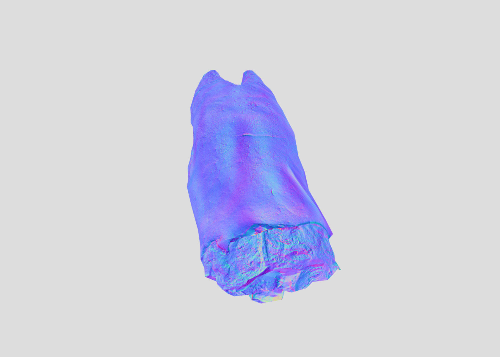 Raw Pigs leg 3D scan Low-poly 3D model_53