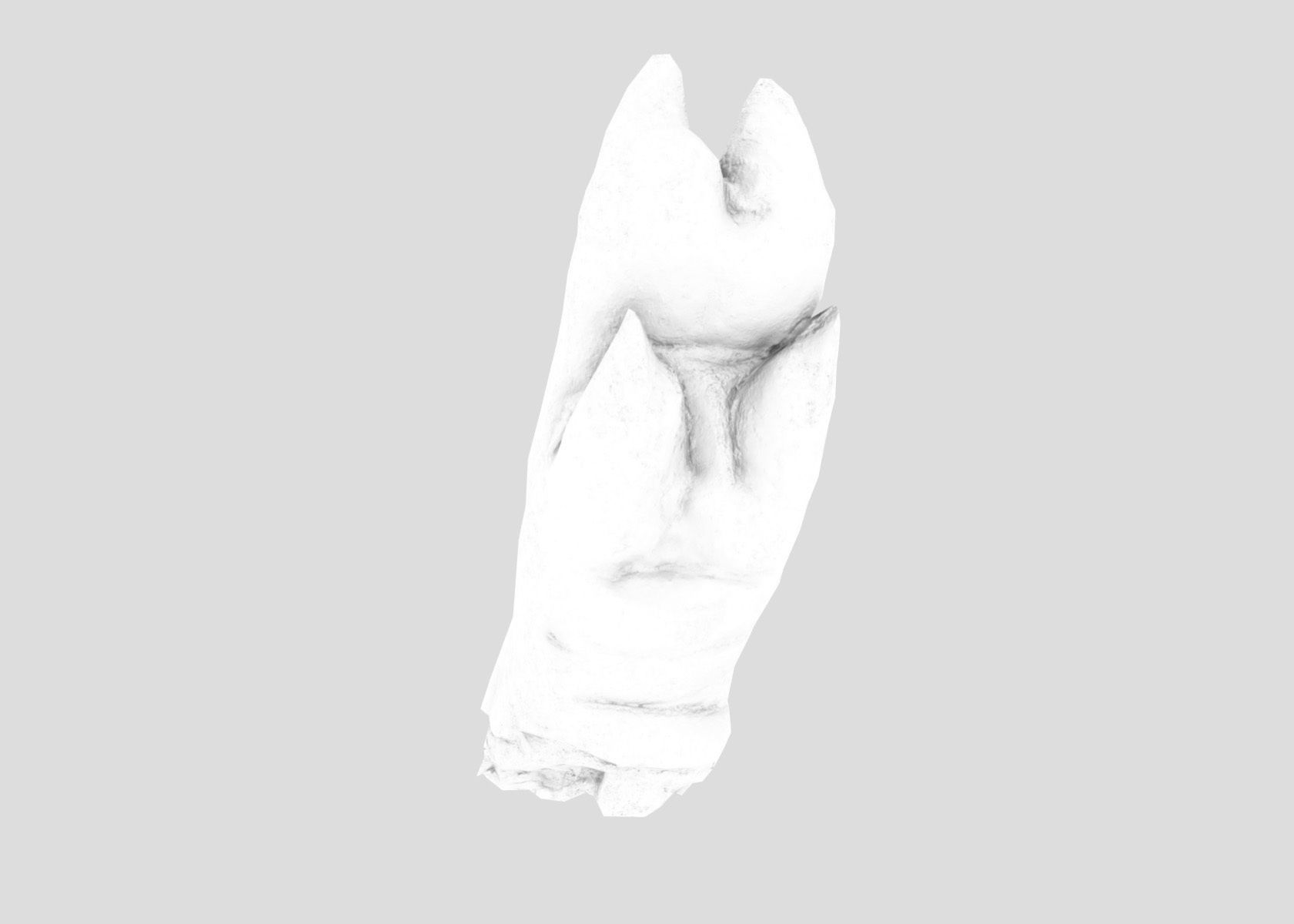 Raw Pigs leg 3D scan Low-poly 3D model_62