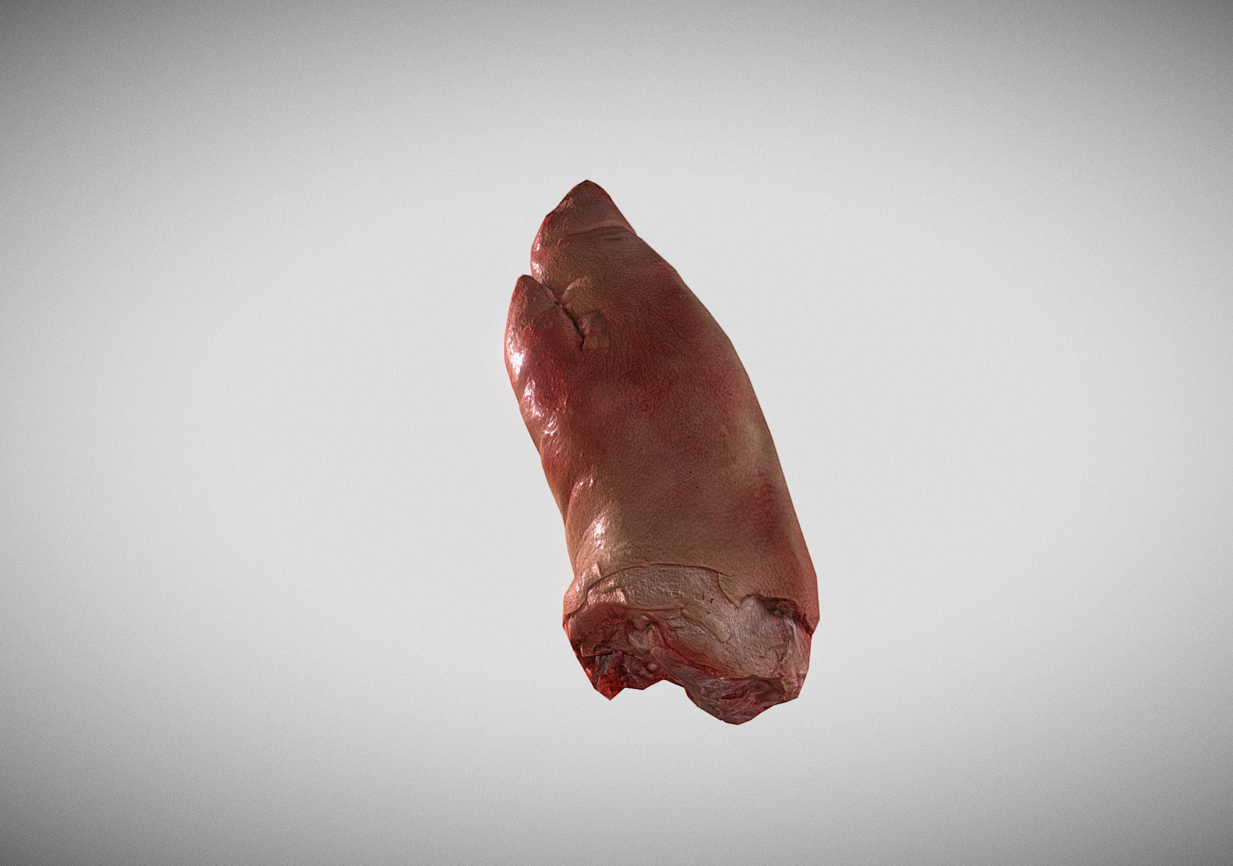 Raw Pigs leg 3D scan Low-poly 3D model_10