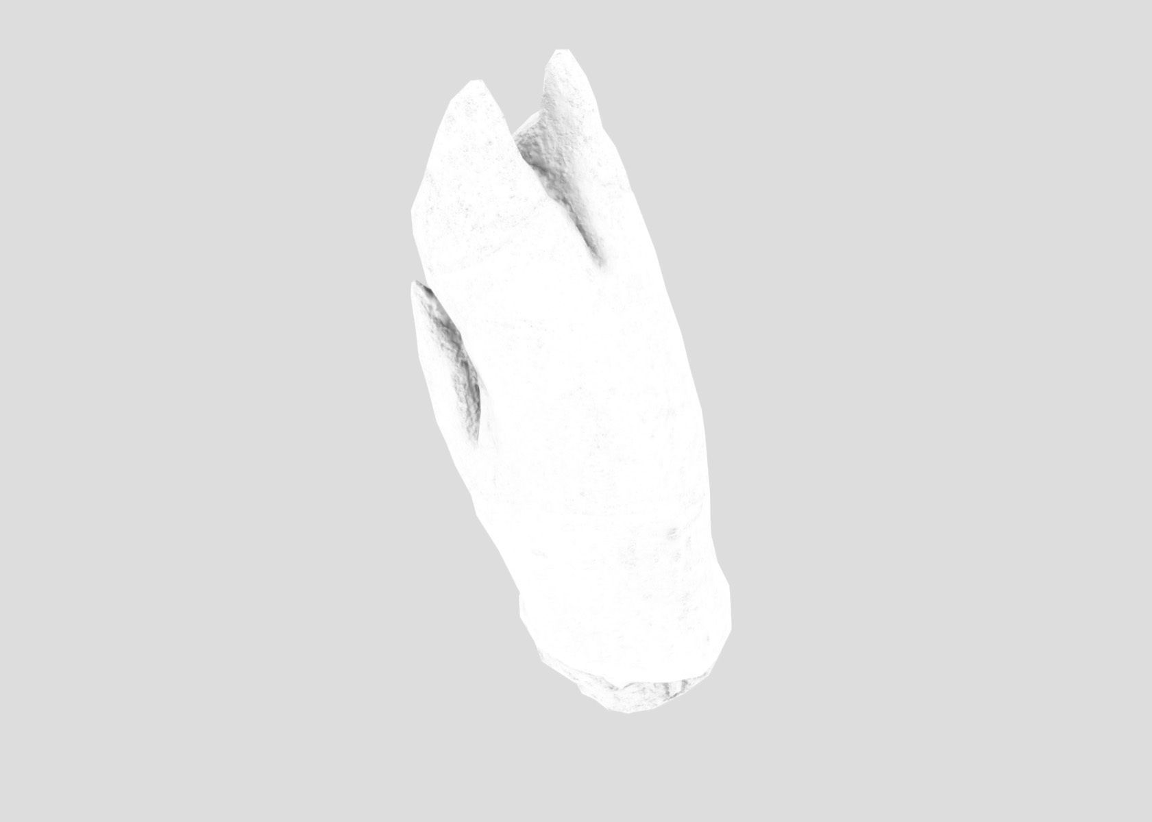 Raw Pigs leg 3D scan Low-poly 3D model_55