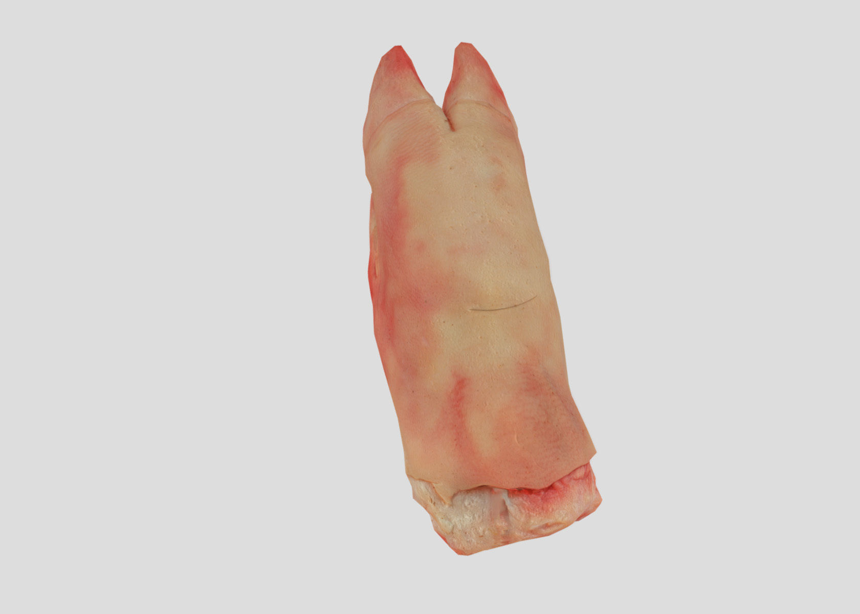 Raw Pigs leg 3D scan Low-poly 3D model_39