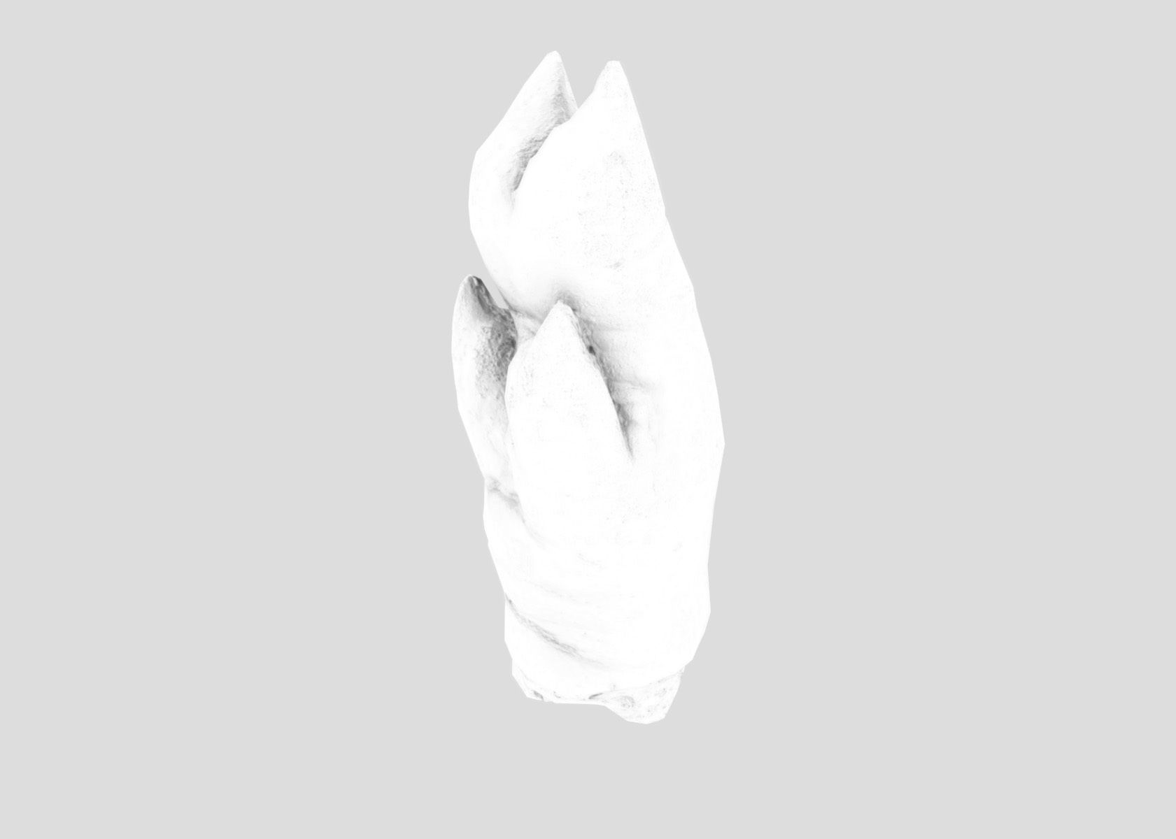Raw Pigs leg 3D scan Low-poly 3D model_59