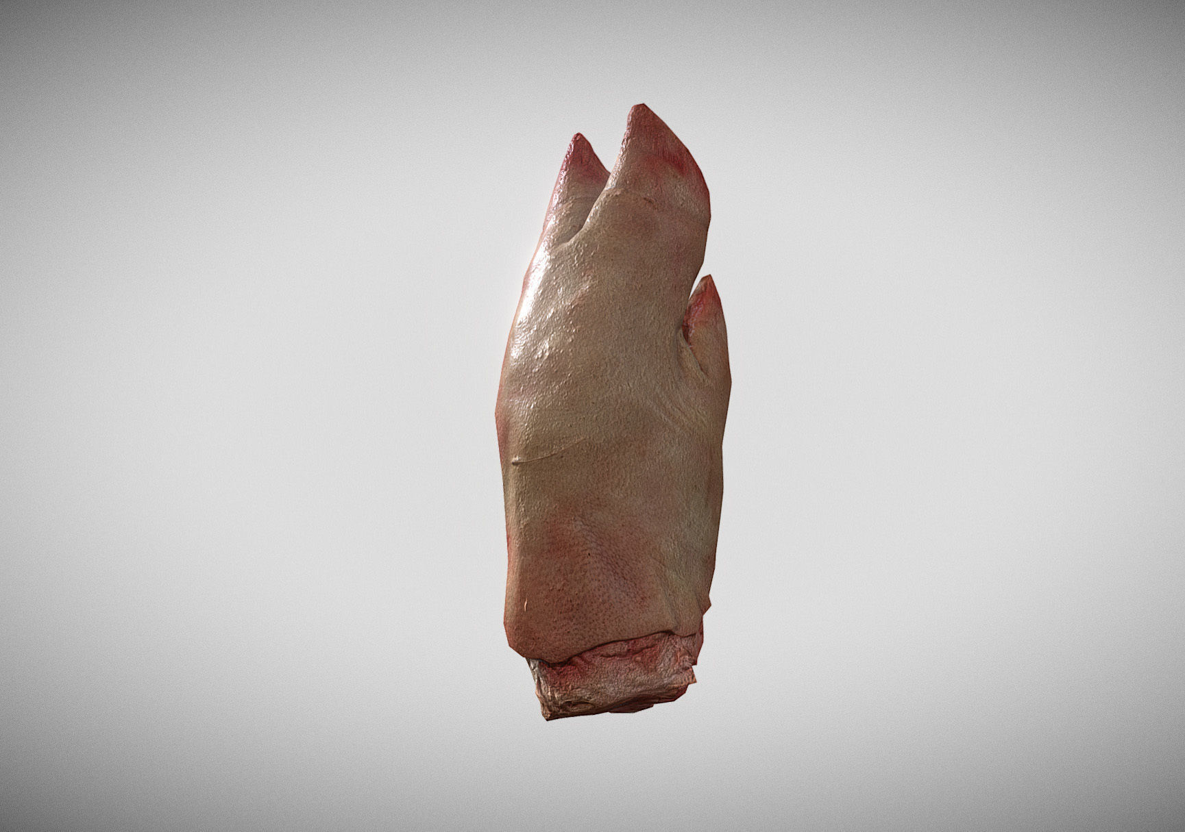 Raw Pigs leg 3D scan Low-poly 3D model_12