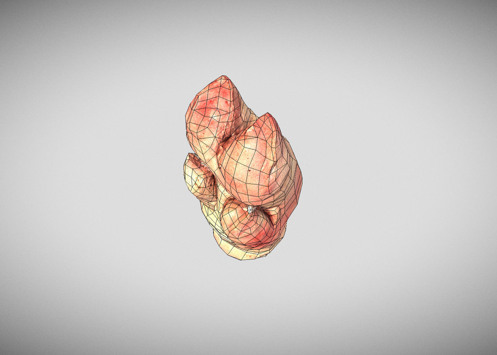 Raw Pigs leg 3D scan Low-poly 3D model_16