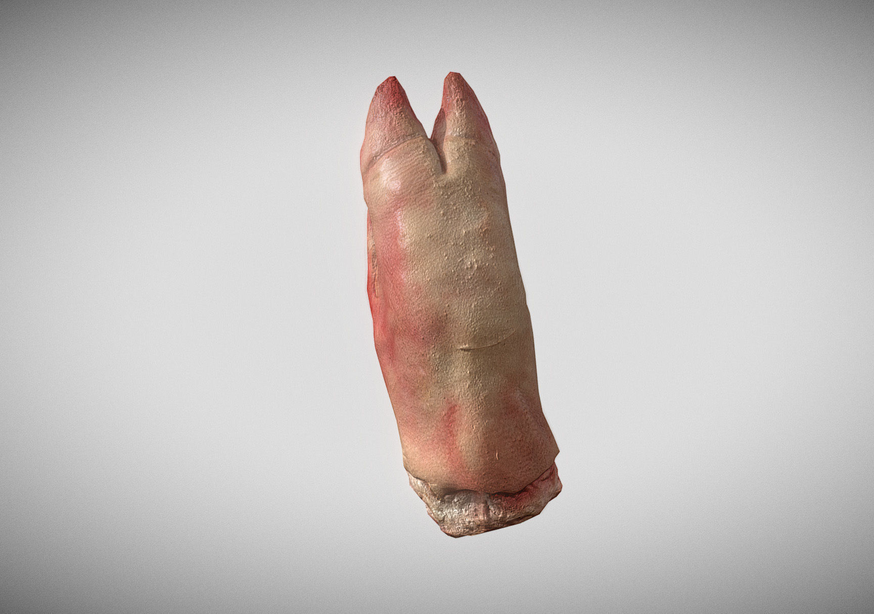 Raw Pigs leg 3D scan Low-poly 3D model_11