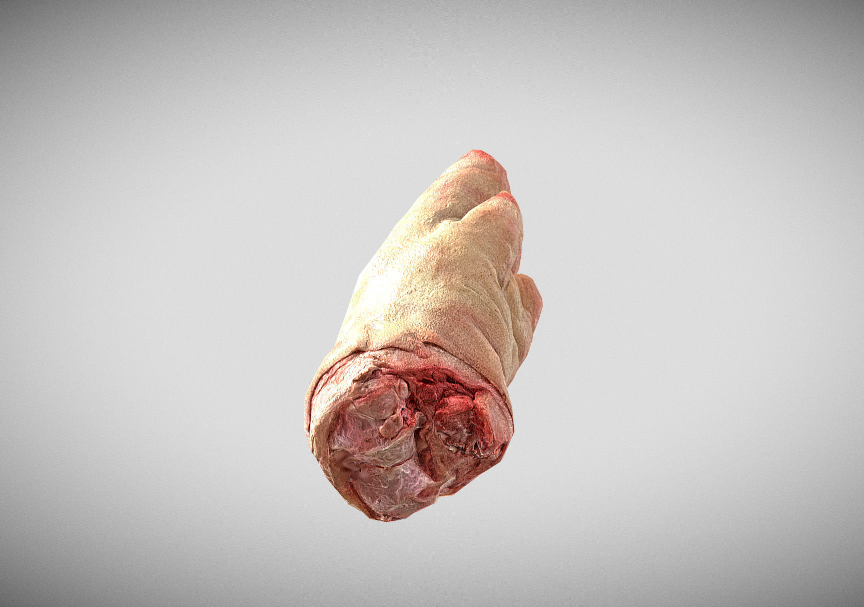 Raw Pigs leg 3D scan Low-poly 3D model_7