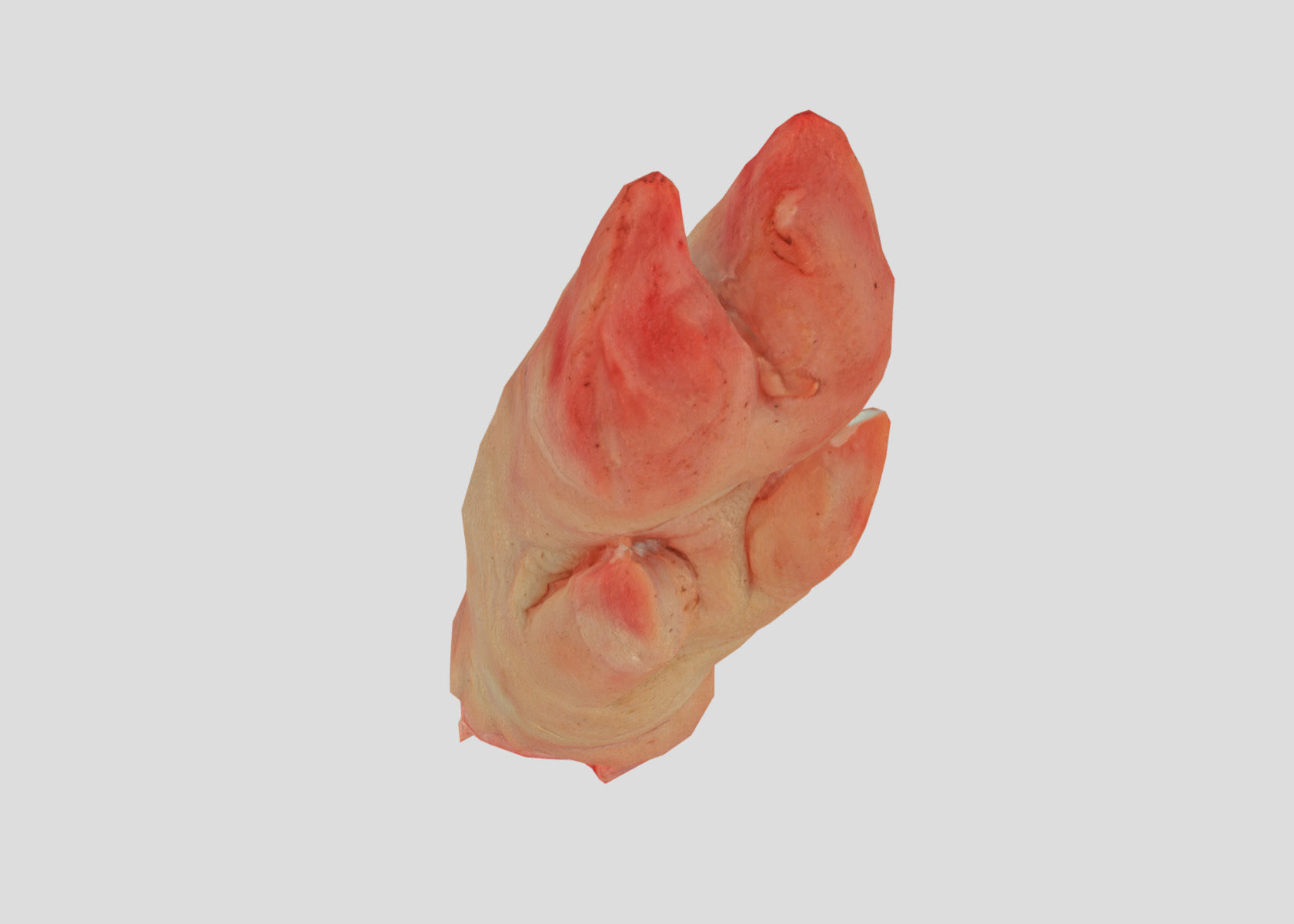 Raw Pigs leg 3D scan Low-poly 3D model_33