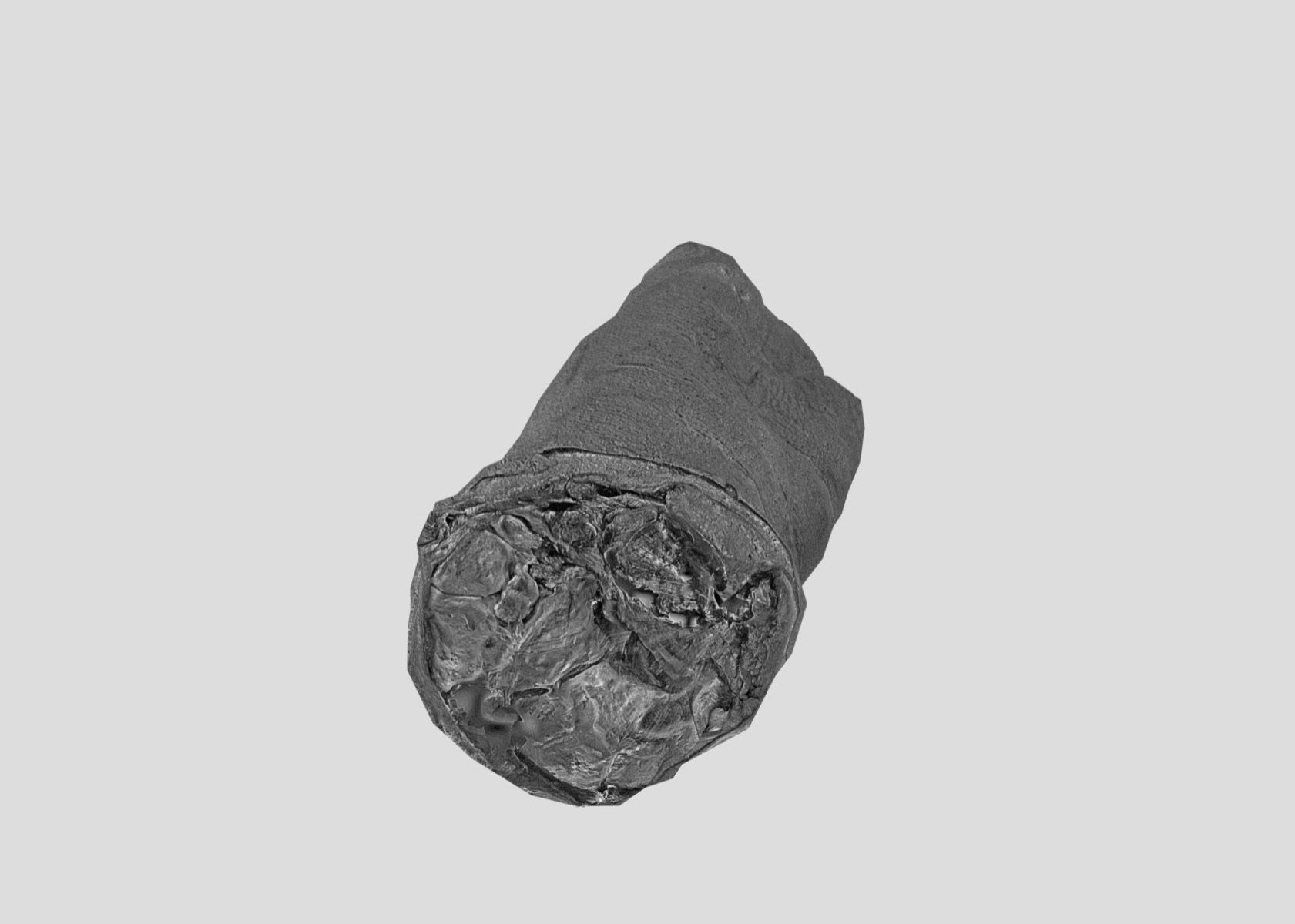 Raw Pigs leg 3D scan Low-poly 3D model_57