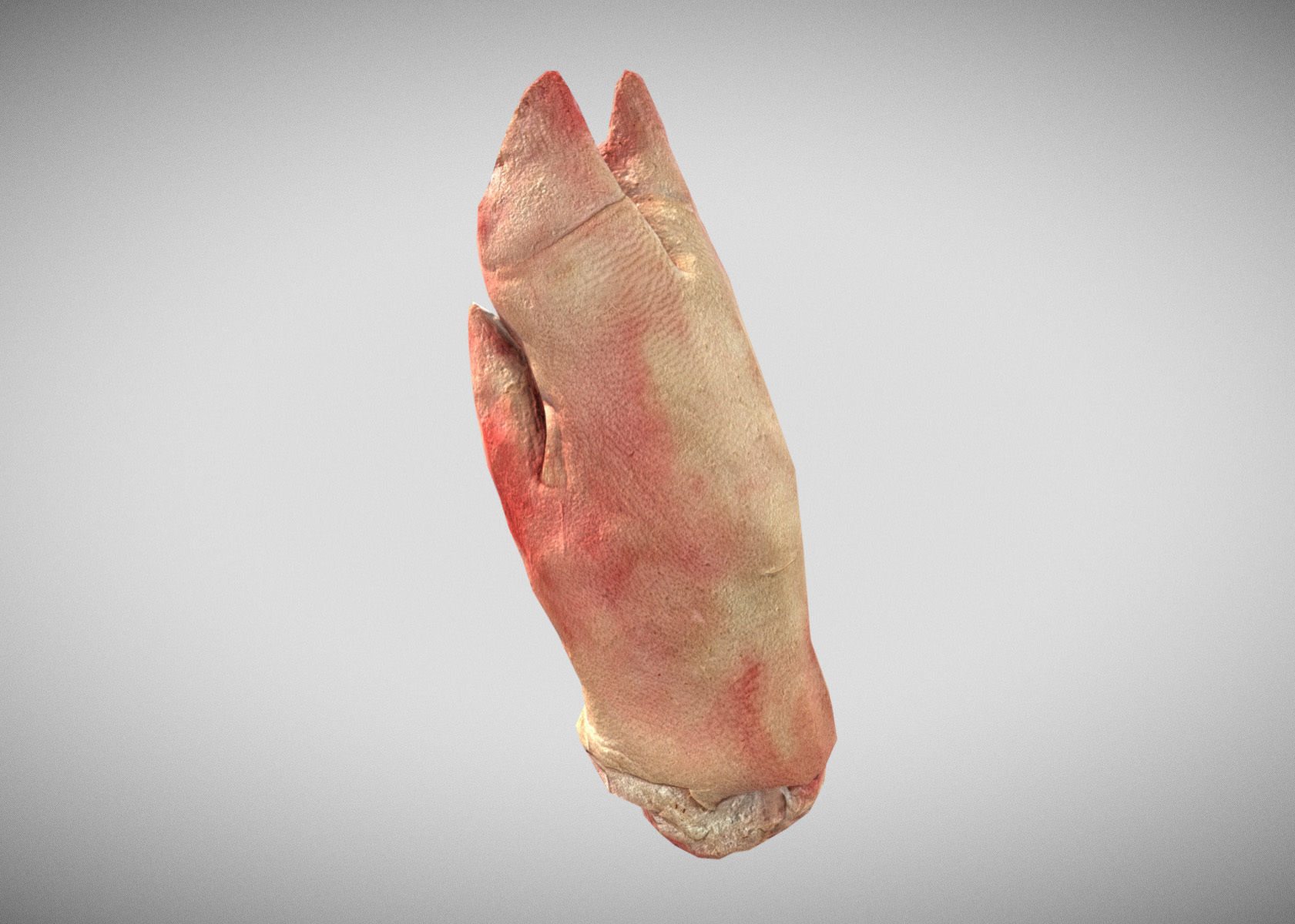 Raw Pigs leg 3D scan Low-poly 3D model_47