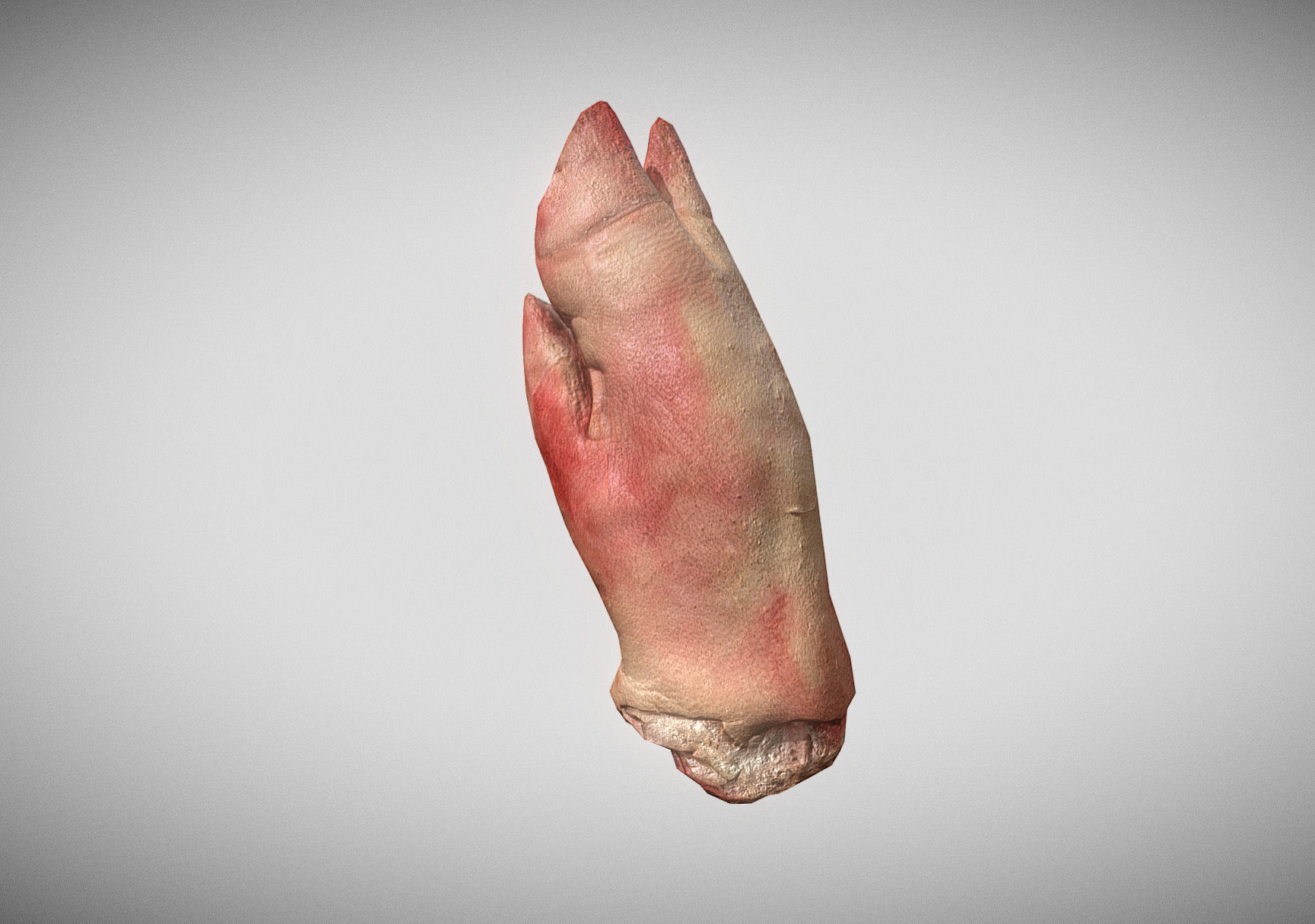 Raw Pigs leg 3D scan Low-poly 3D model_13
