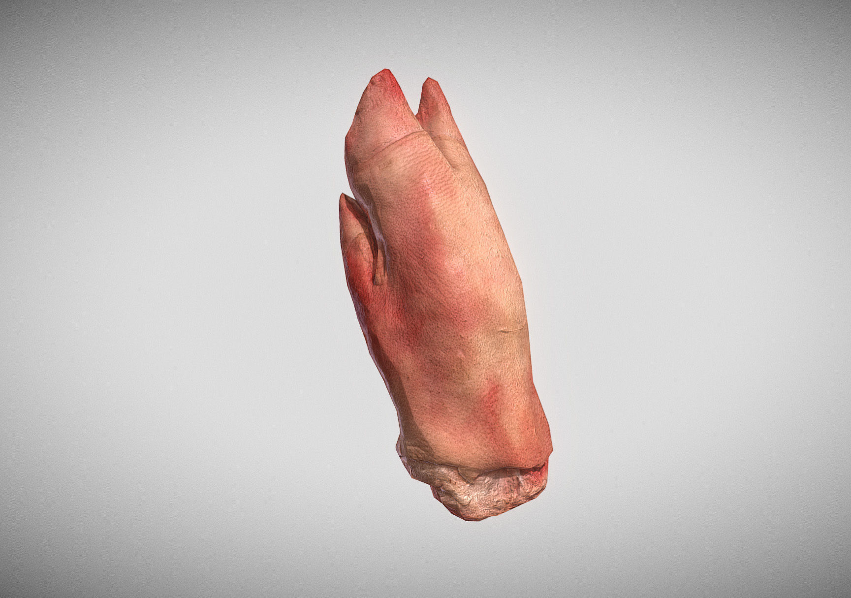 Raw Pigs leg 3D scan Low-poly 3D model_21