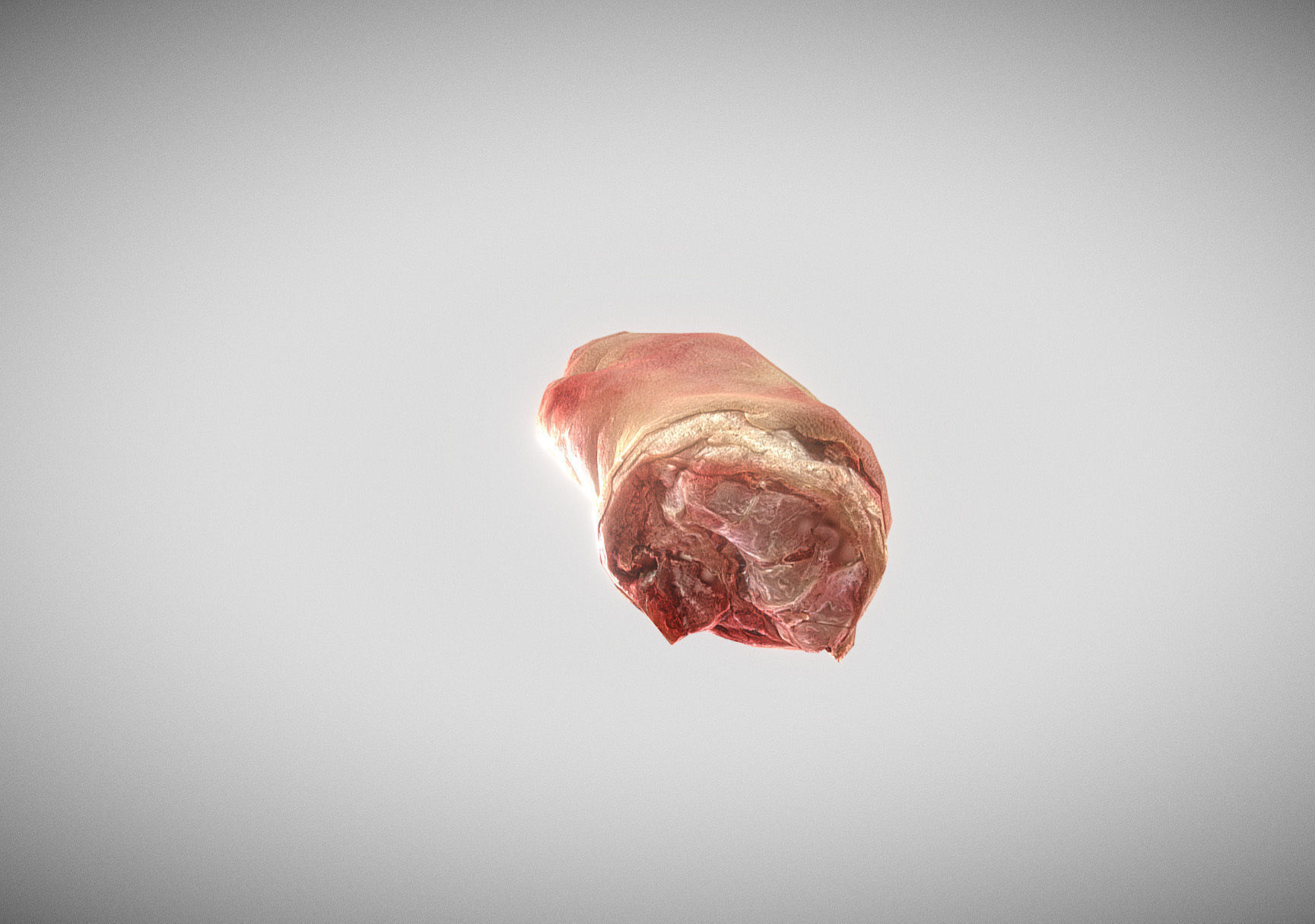 Raw Pigs leg 3D scan Low-poly 3D model_3