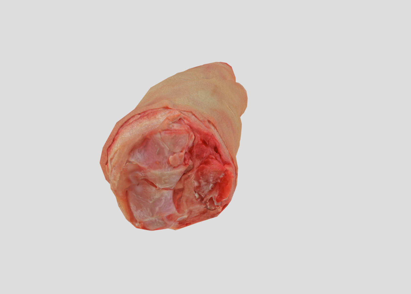 Raw Pigs leg 3D scan Low-poly 3D model_30