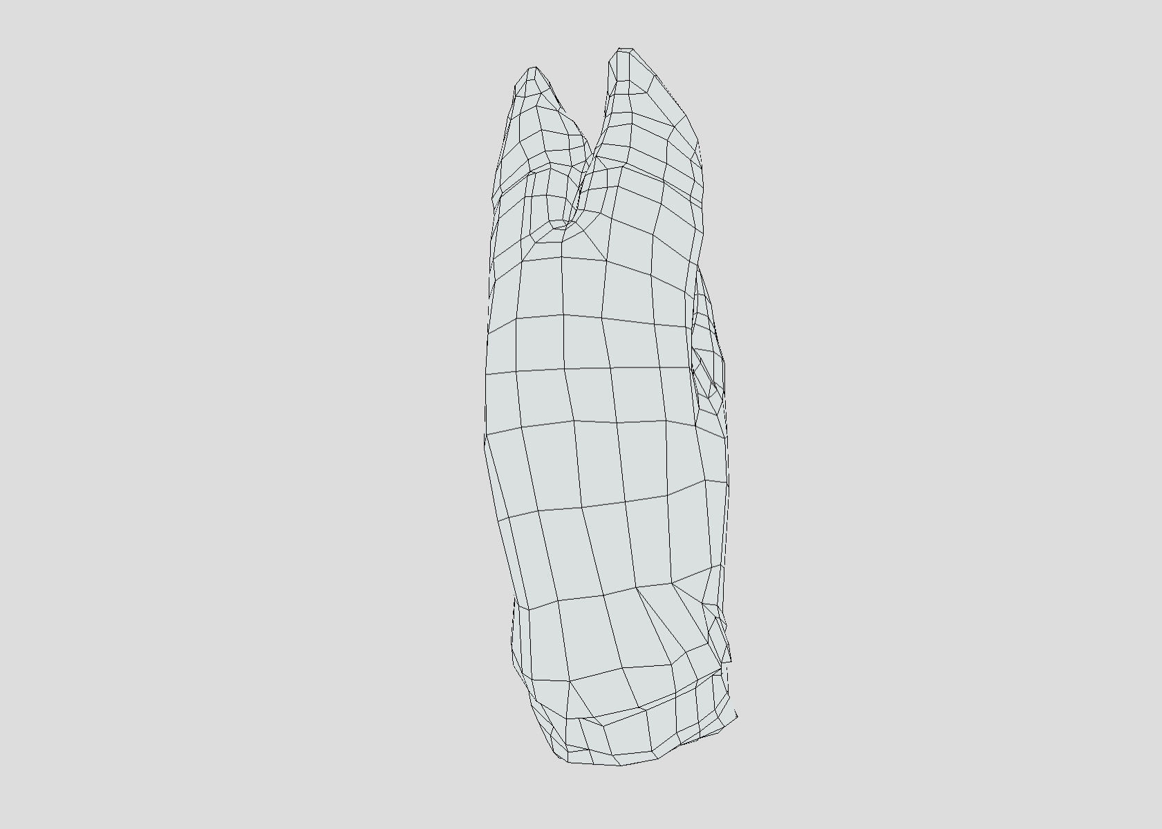 Raw Pigs leg 3D scan Low-poly 3D model_43