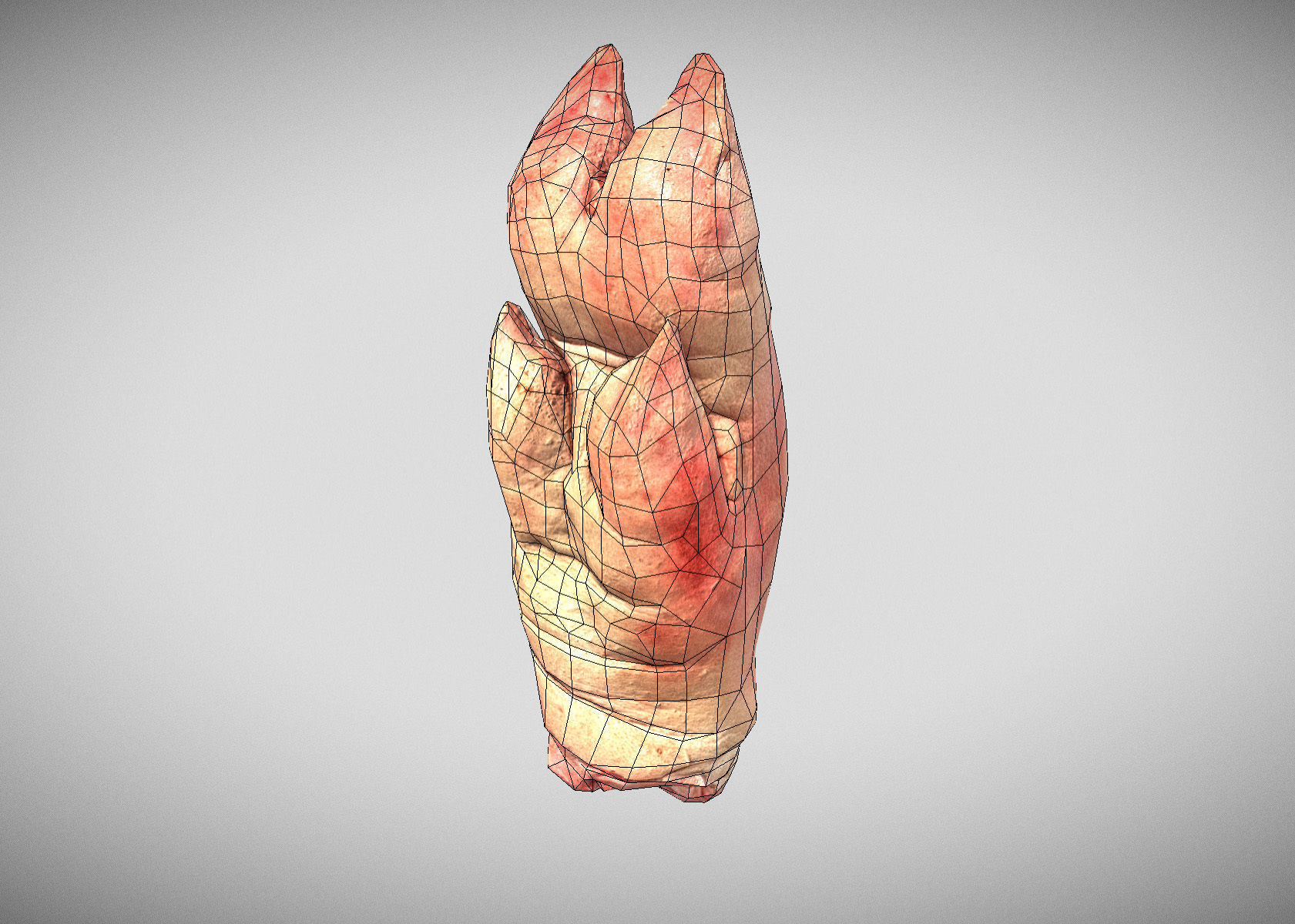 Raw Pigs leg 3D scan Low-poly 3D model_20