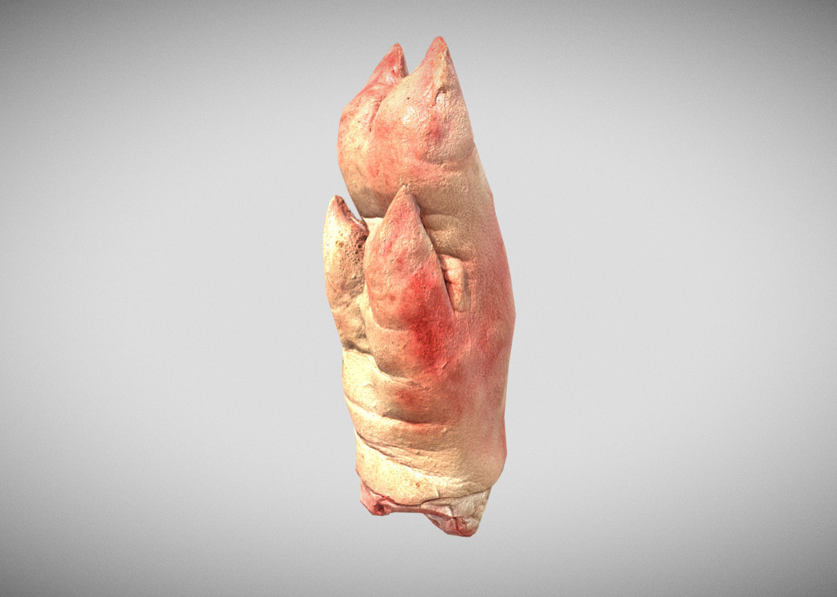 Raw Pigs leg 3D scan Low-poly 3D model_46