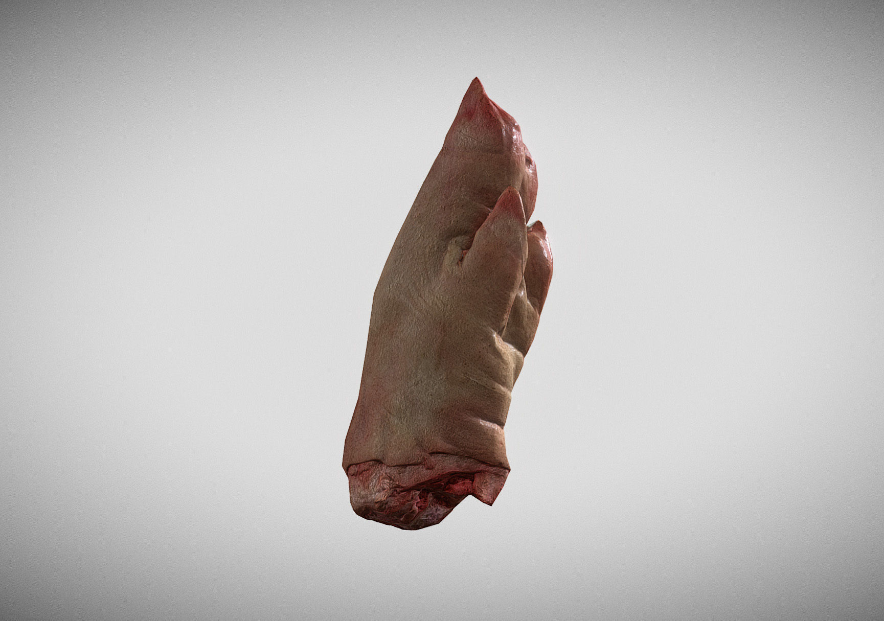 Raw Pigs leg 3D scan Low-poly 3D model_9