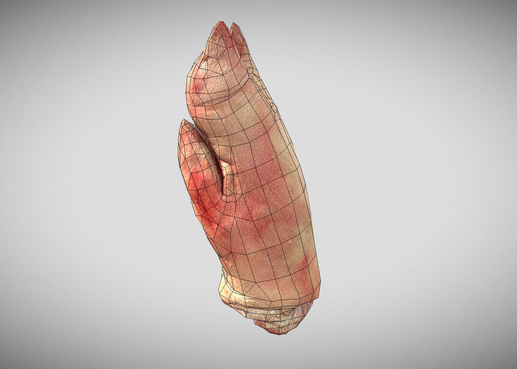 Raw Pigs leg 3D scan Low-poly 3D model_19