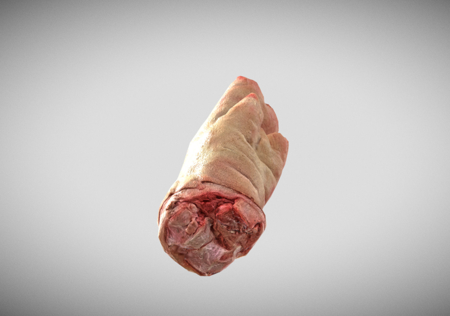 Raw Pigs leg 3D scan Low-poly 3D model_2