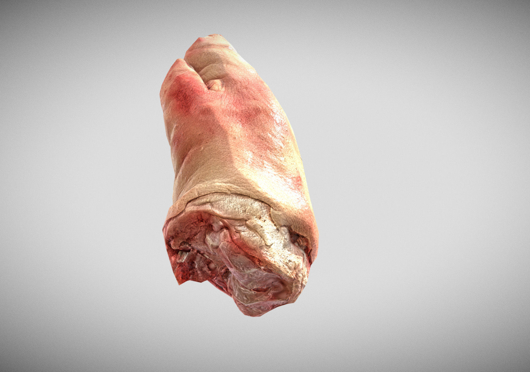 Raw Pigs leg 3D scan Low-poly 3D model_4