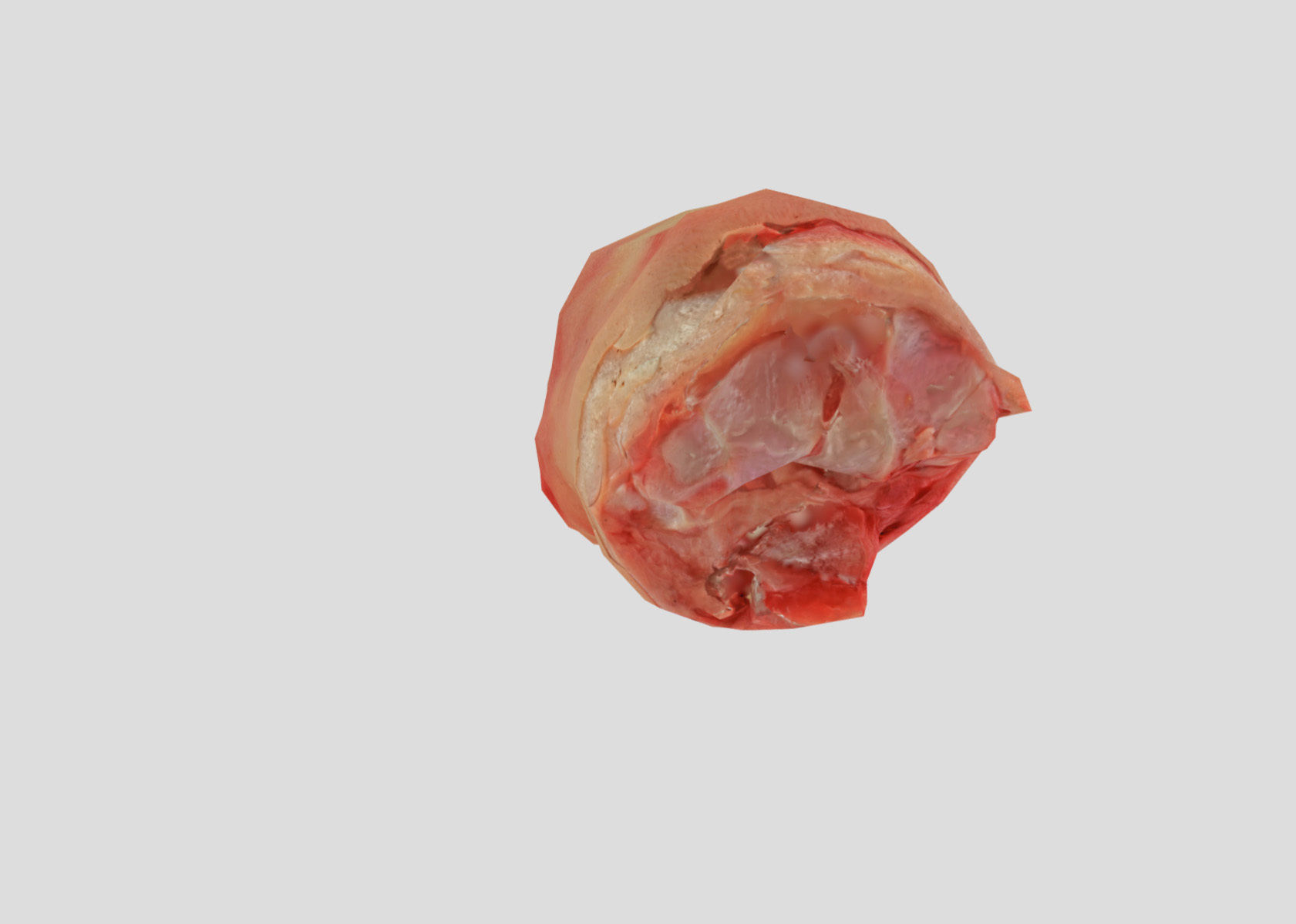 Raw Pigs leg 3D scan Low-poly 3D model_34