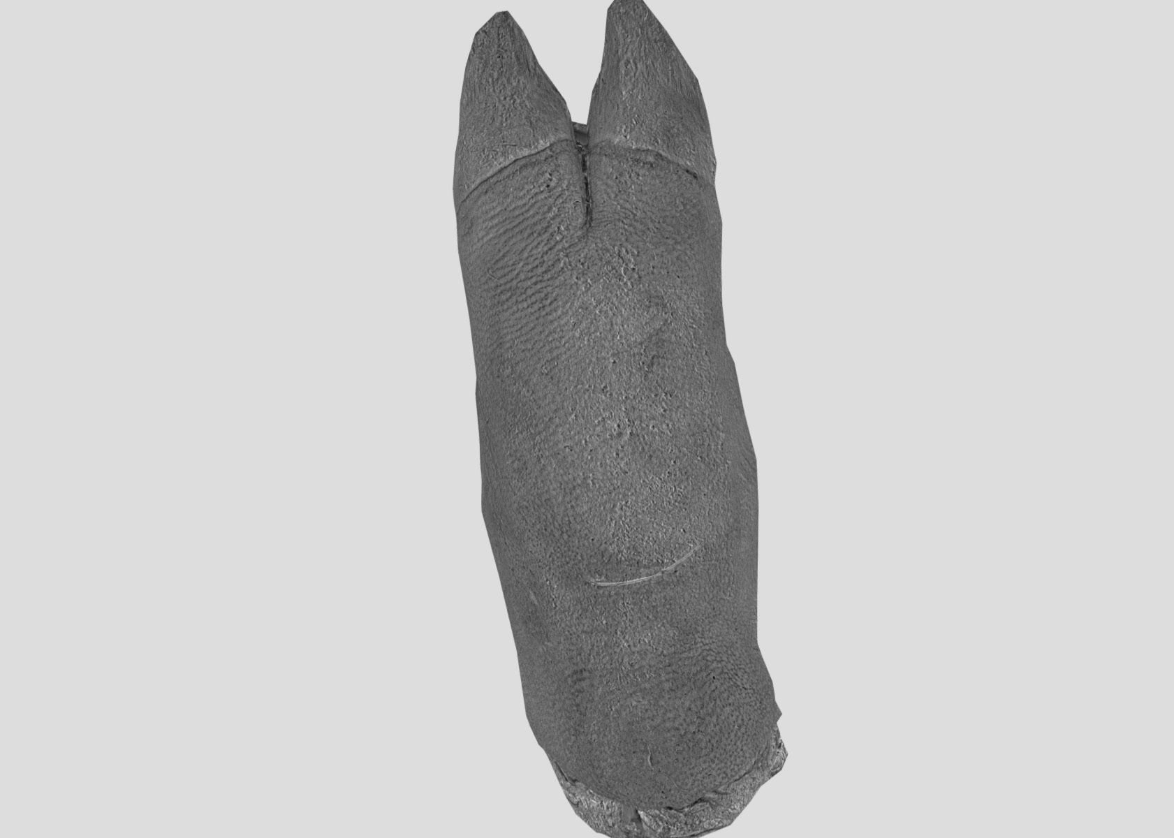 Raw Pigs leg 3D scan Low-poly 3D model_61