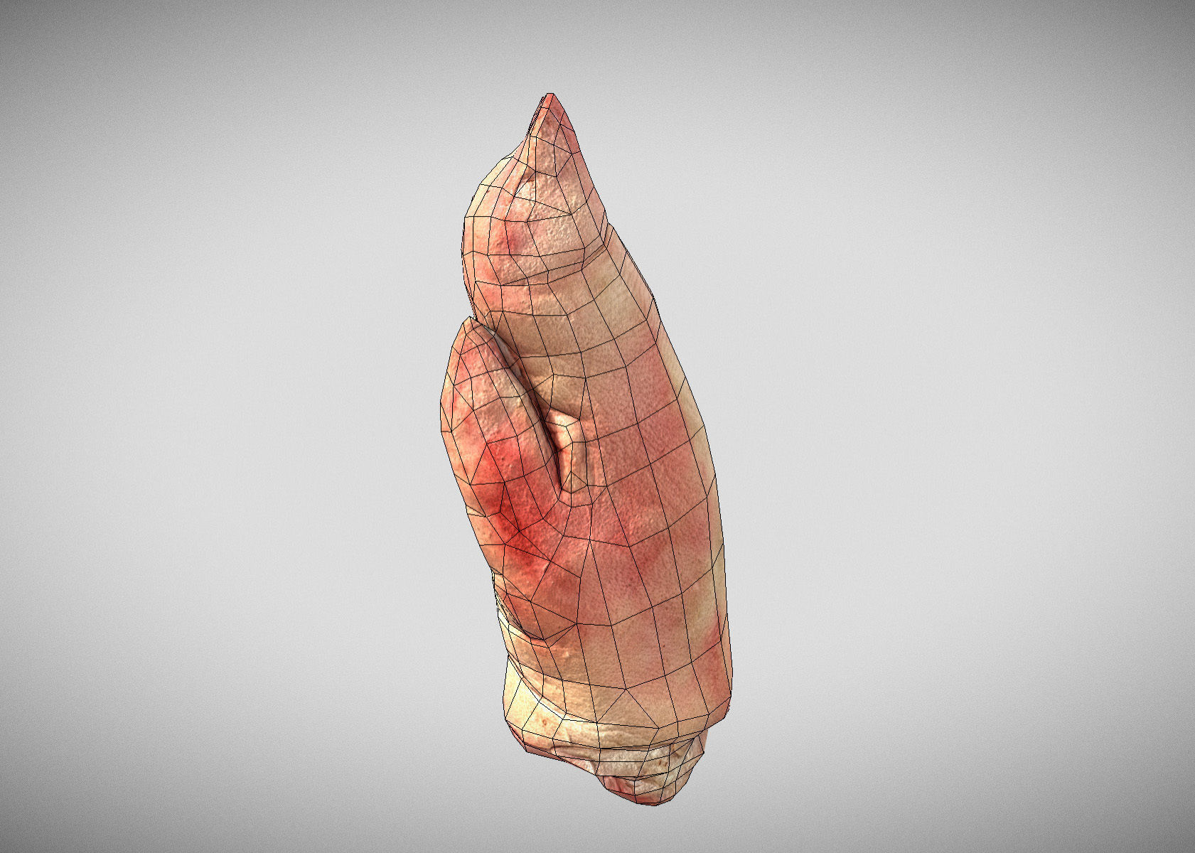 Raw Pigs leg 3D scan Low-poly 3D model_29
